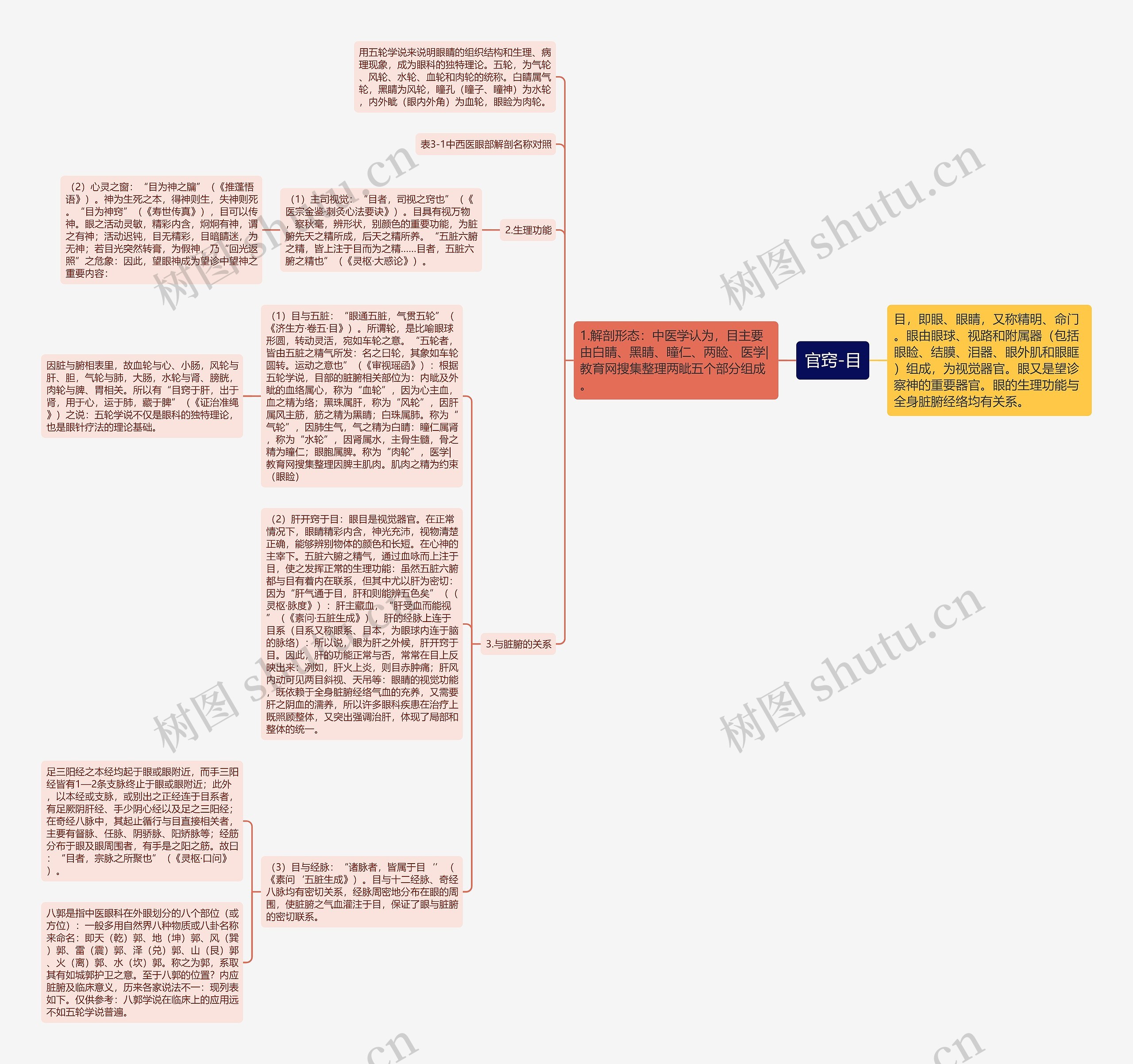 官窍-目思维导图