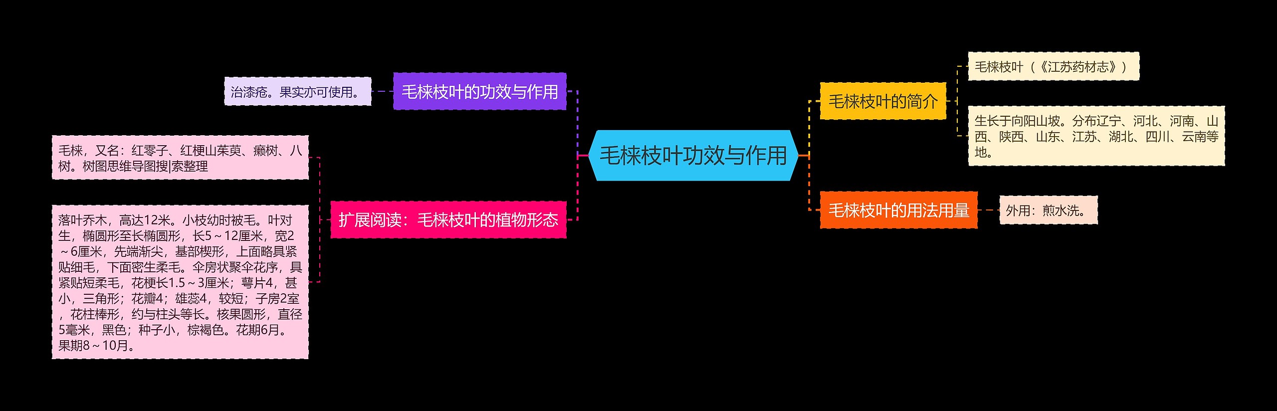 毛梾枝叶功效与作用思维导图