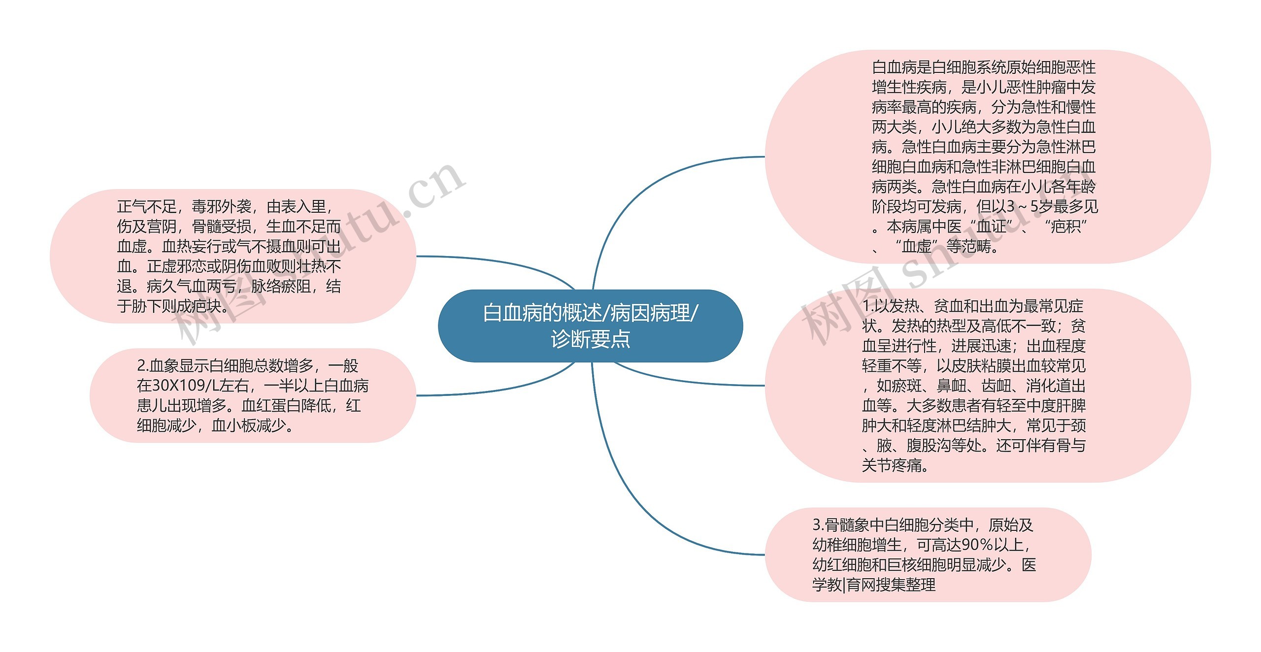 白血病的概述/病因病理/诊断要点