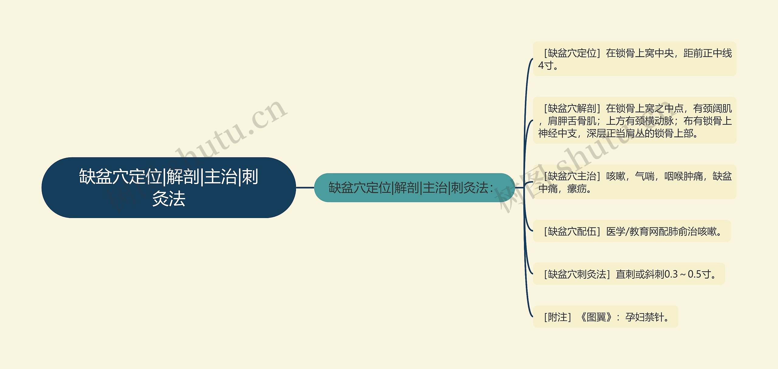 缺盆穴定位|解剖|主治|刺灸法思维导图