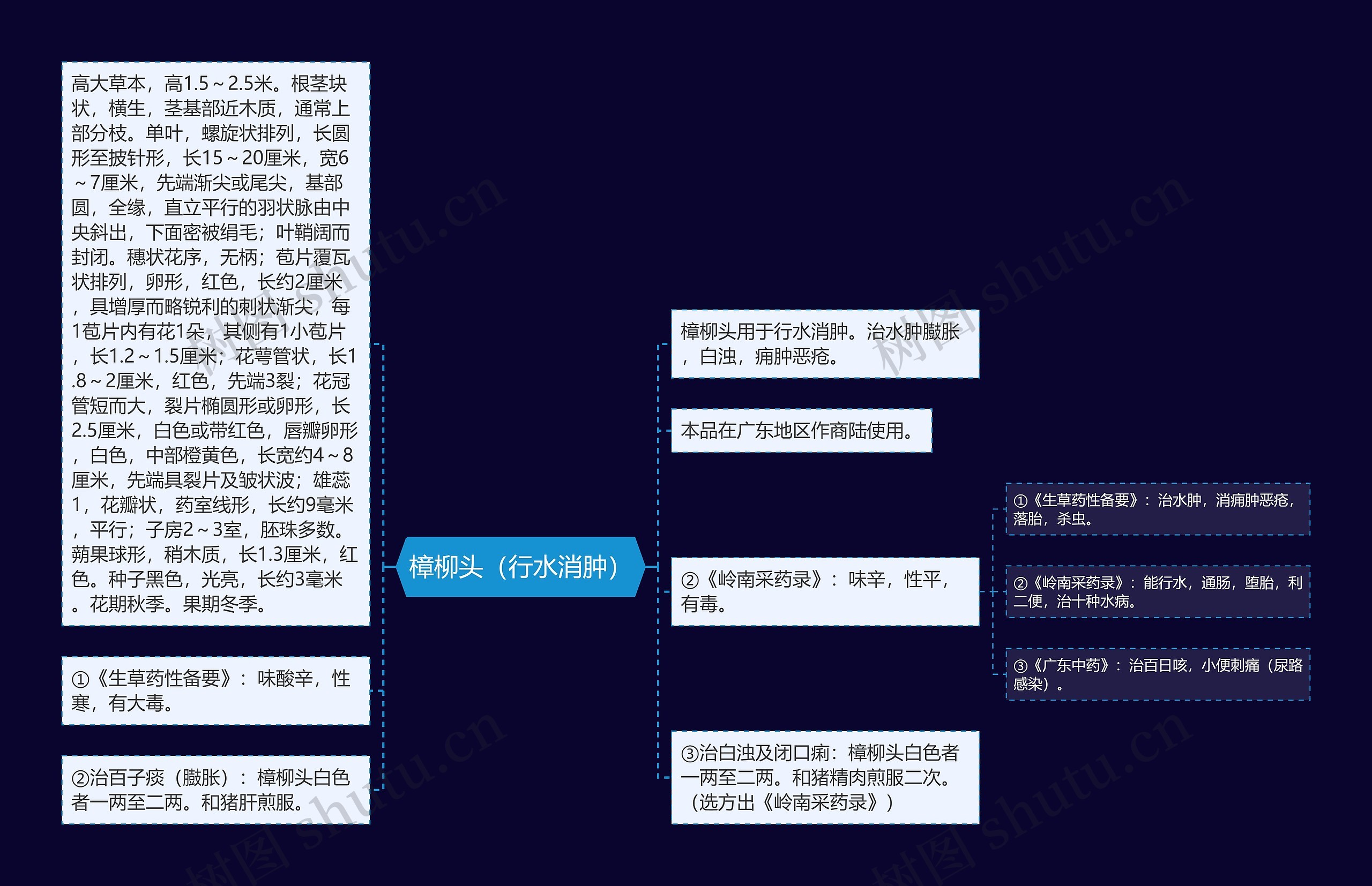 樟柳头（行水消肿）思维导图