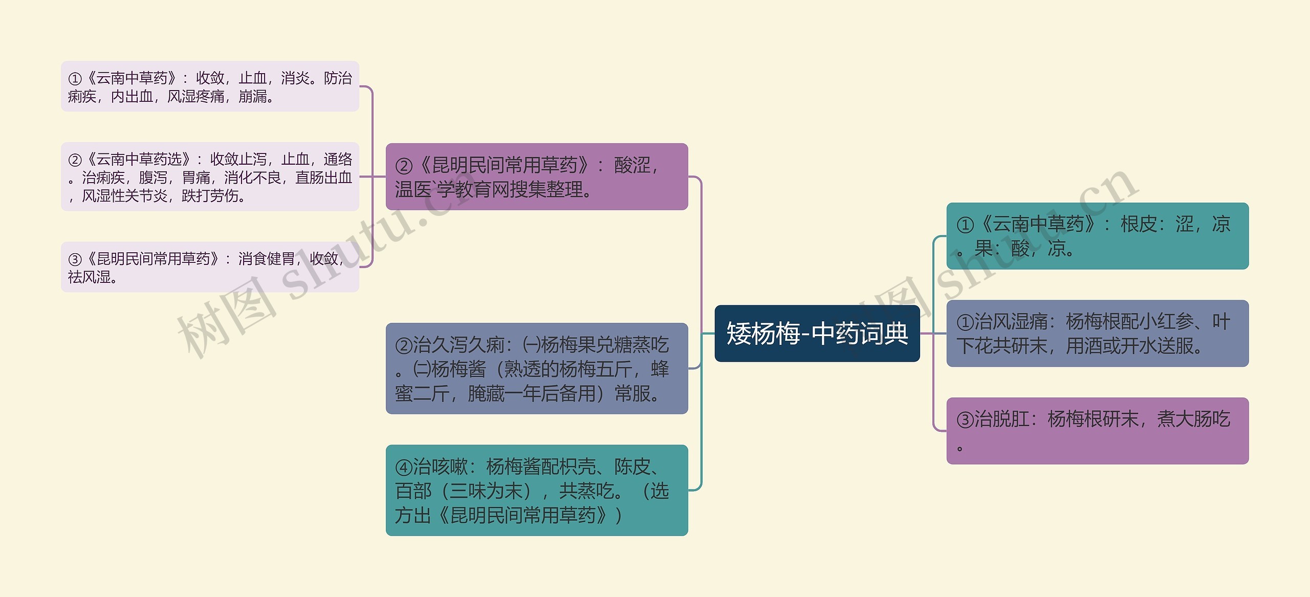 矮杨梅-中药词典思维导图