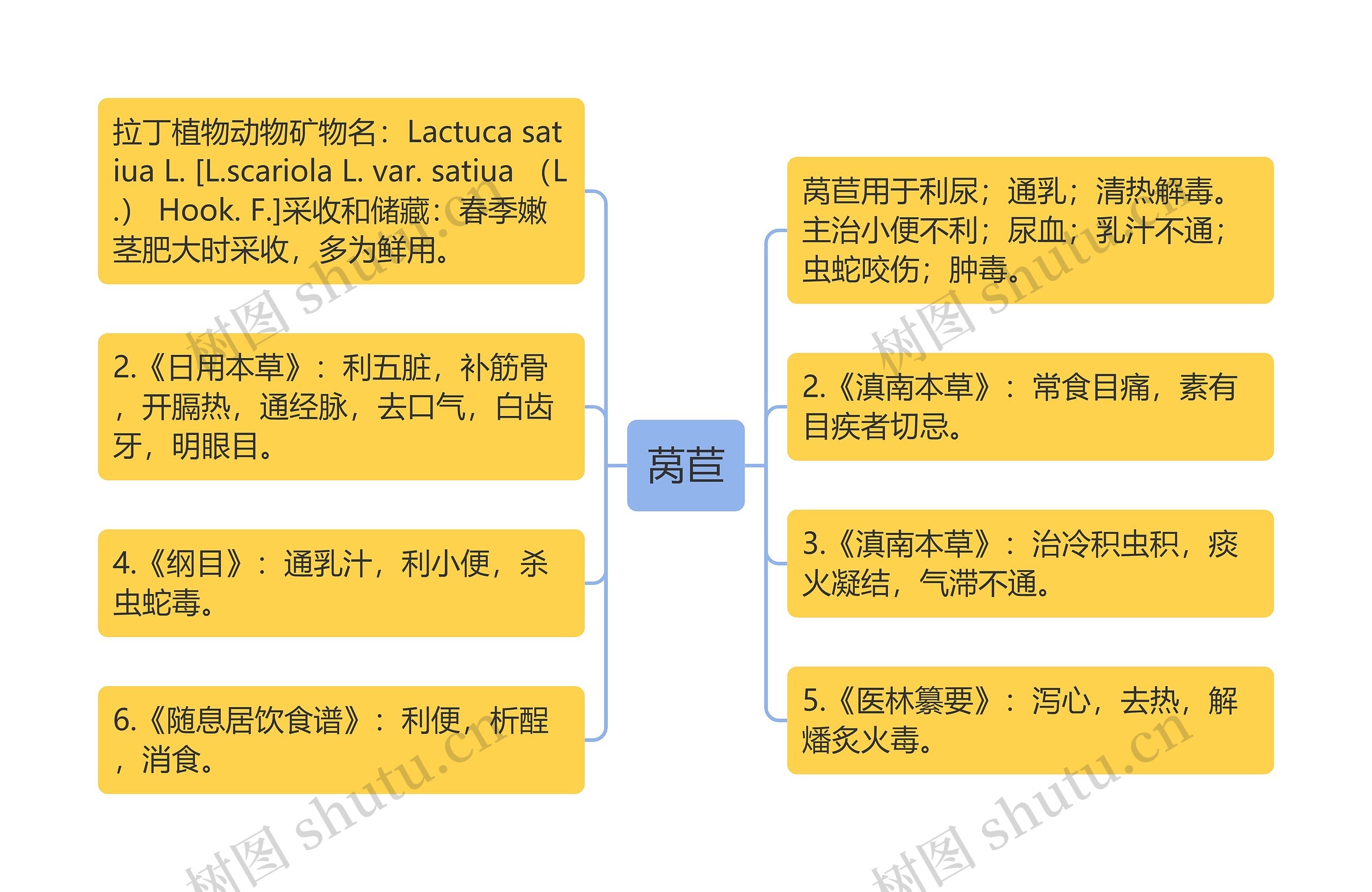 莴苣思维导图