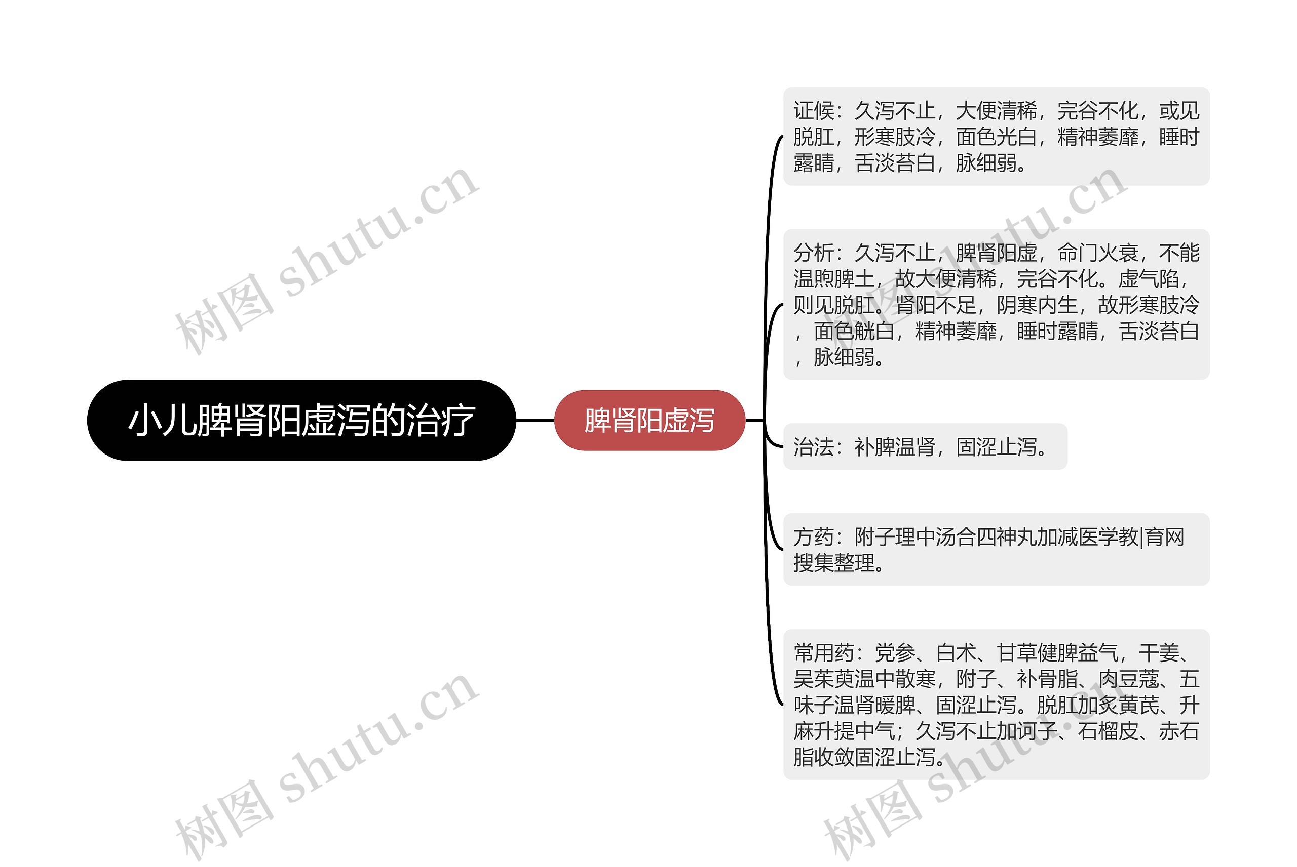 小儿脾肾阳虚泻的治疗思维导图