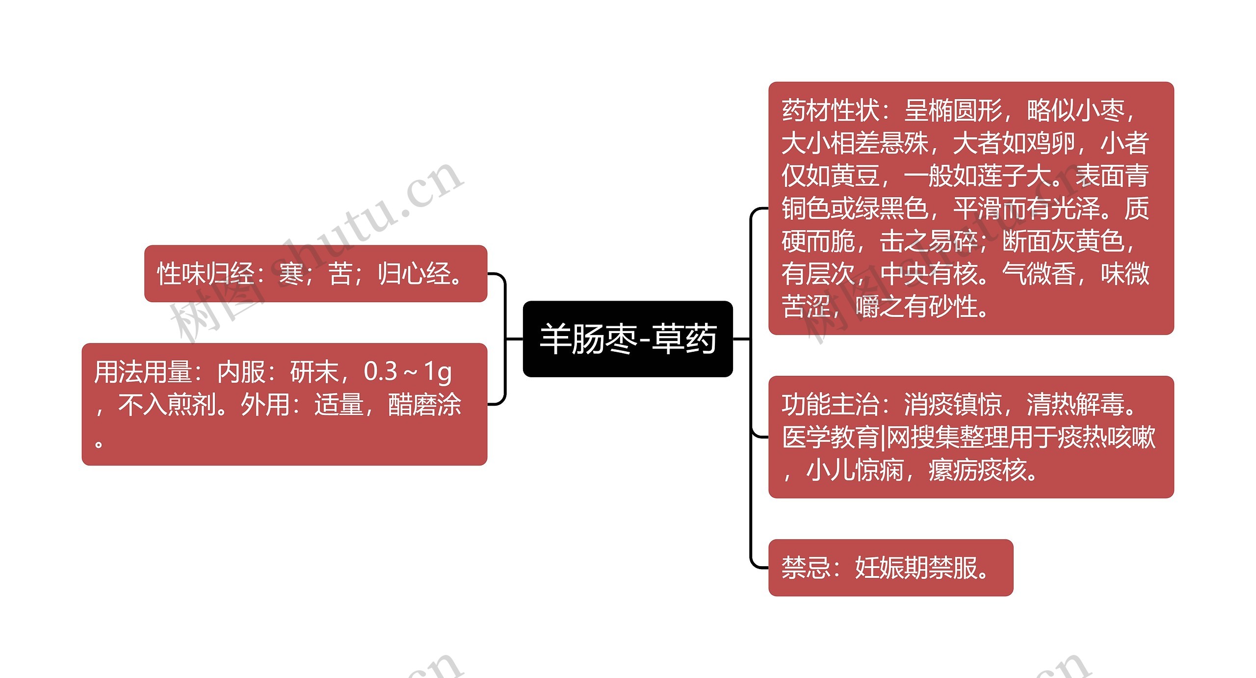 羊肠枣-草药思维导图