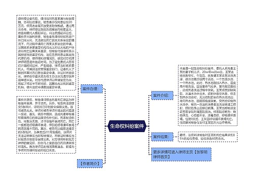 生命权纠纷案件