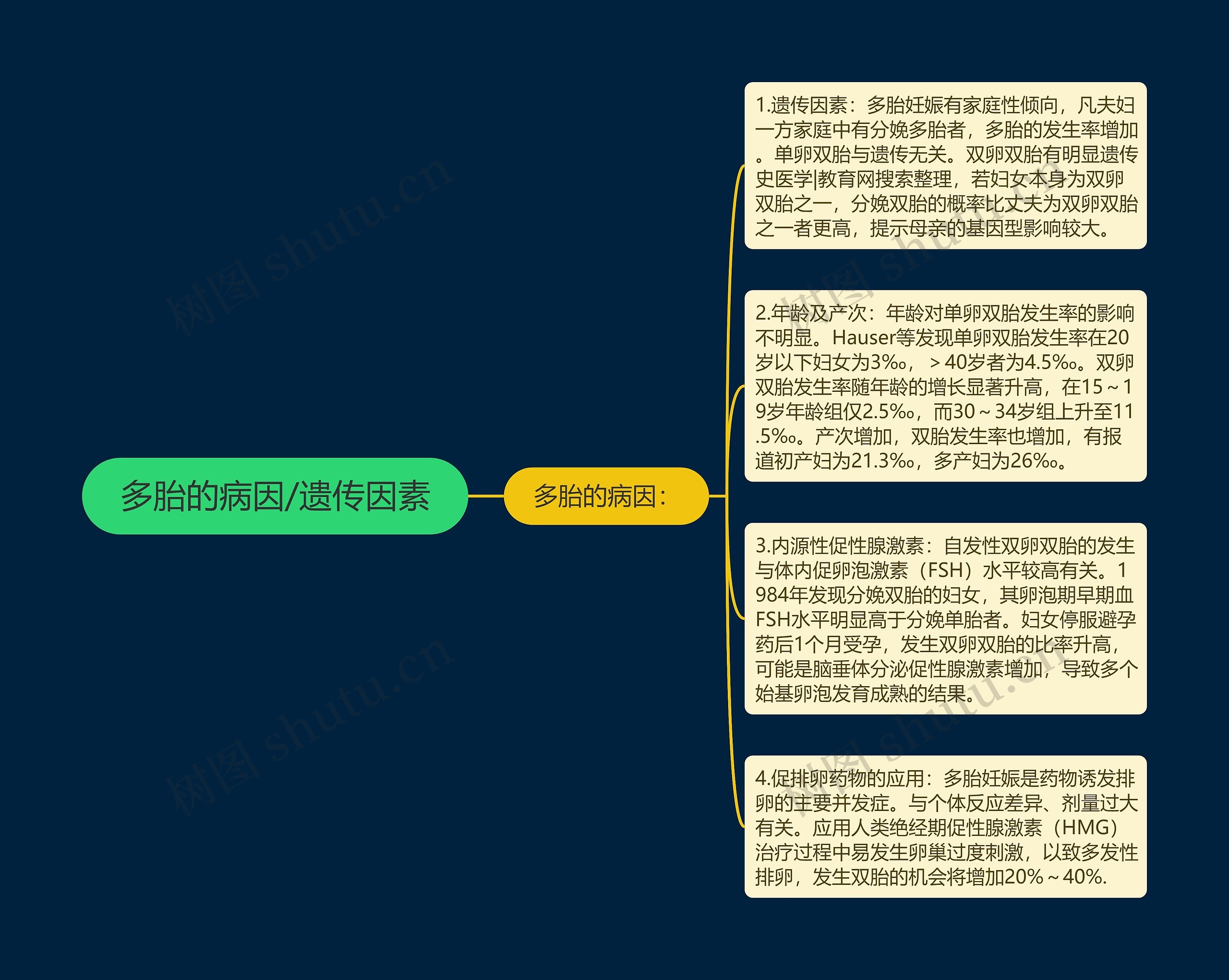 多胎的病因/遗传因素思维导图