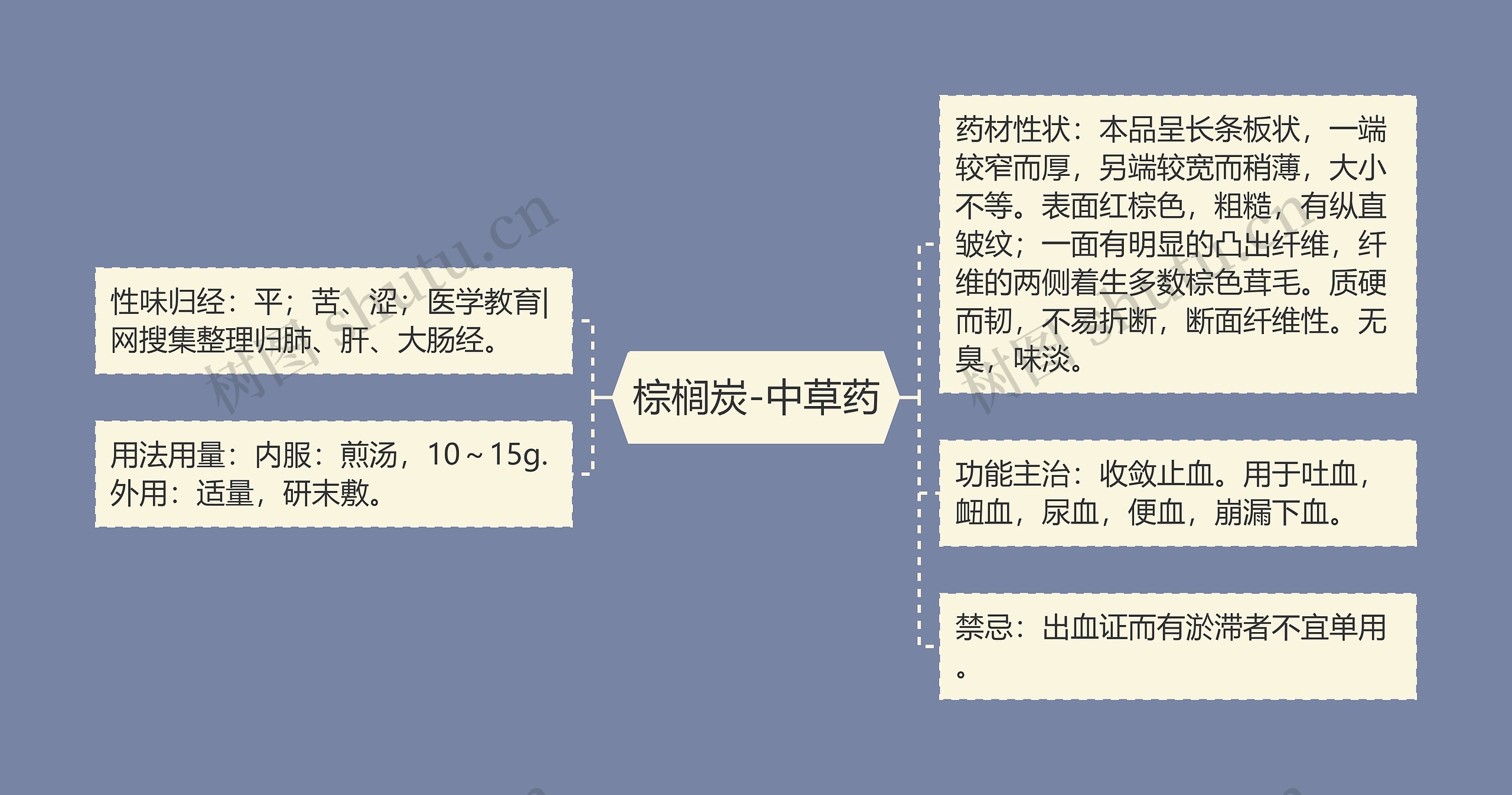 棕榈炭-中草药思维导图