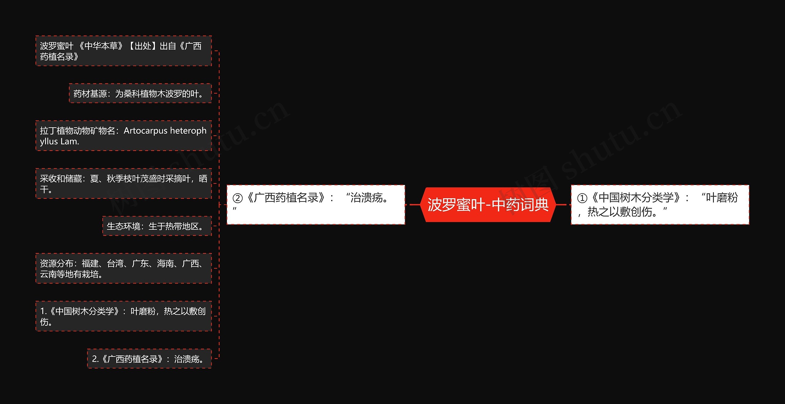 波罗蜜叶-中药词典思维导图