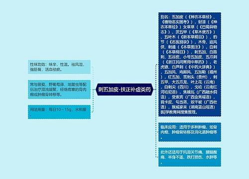 刺五加皮-扶正补虚类药