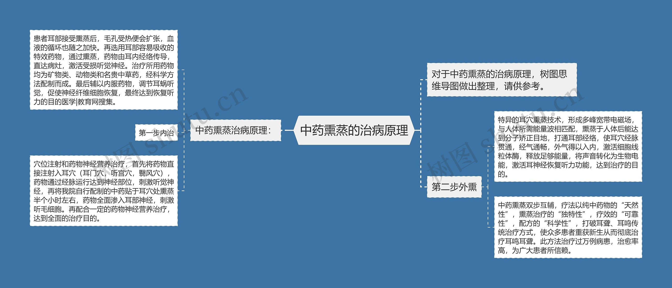 中药熏蒸的治病原理思维导图