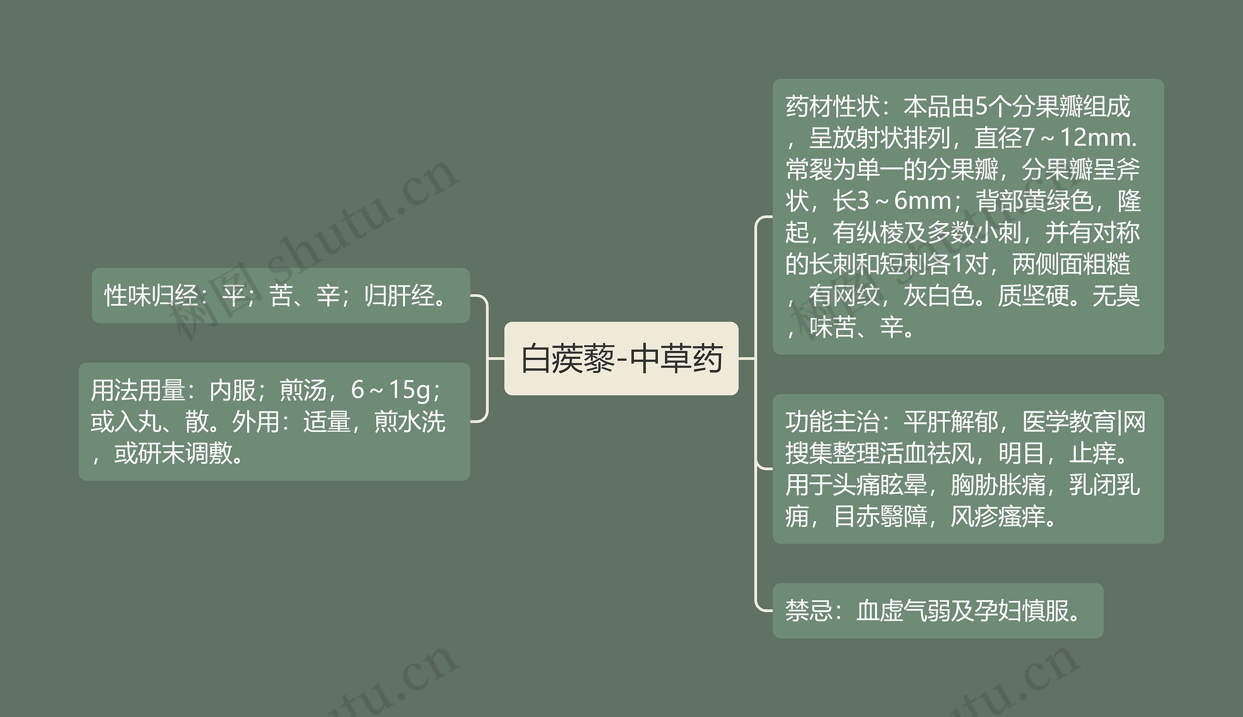 白蒺藜-中草药思维导图