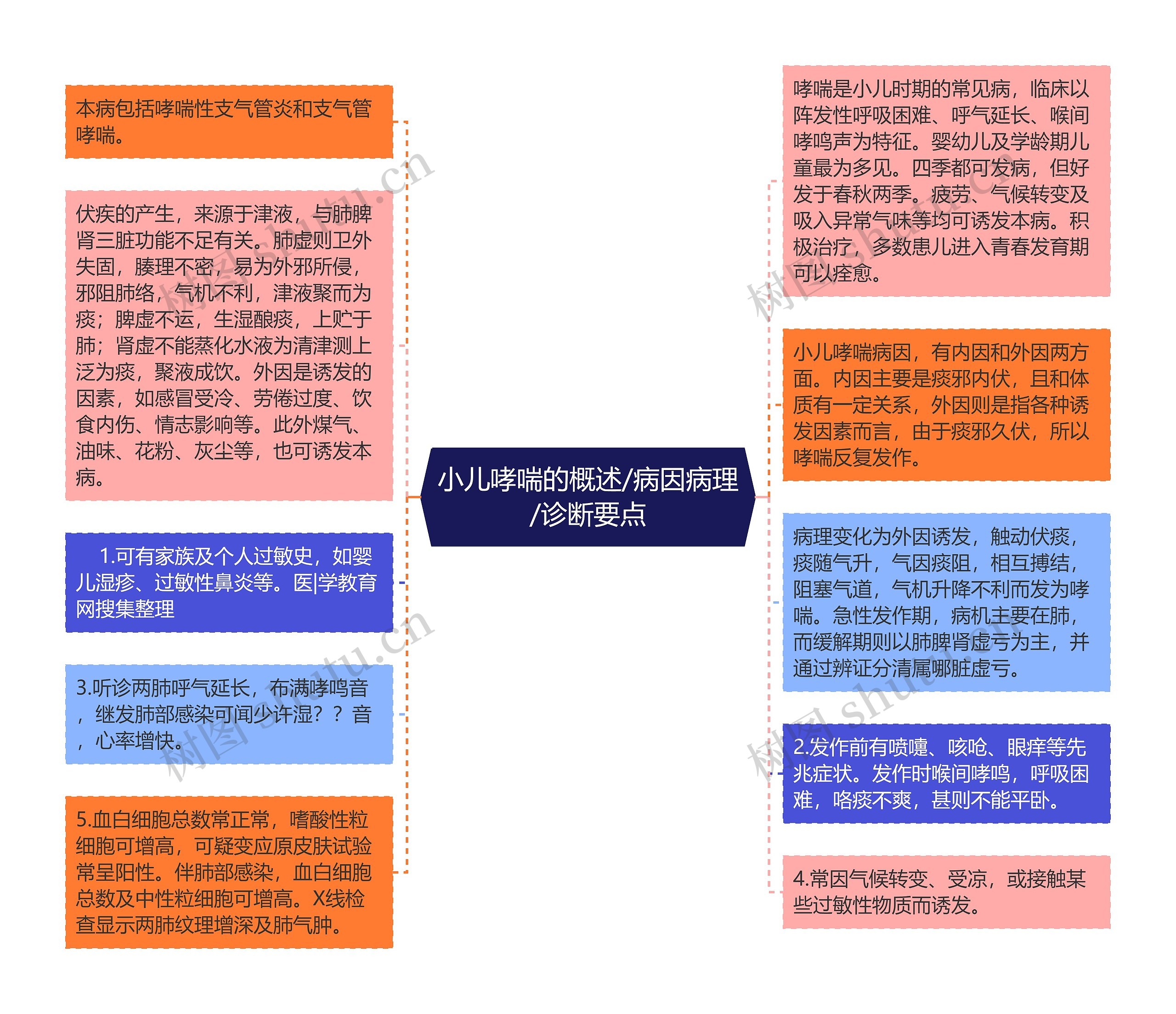 小儿哮喘的概述/病因病理/诊断要点