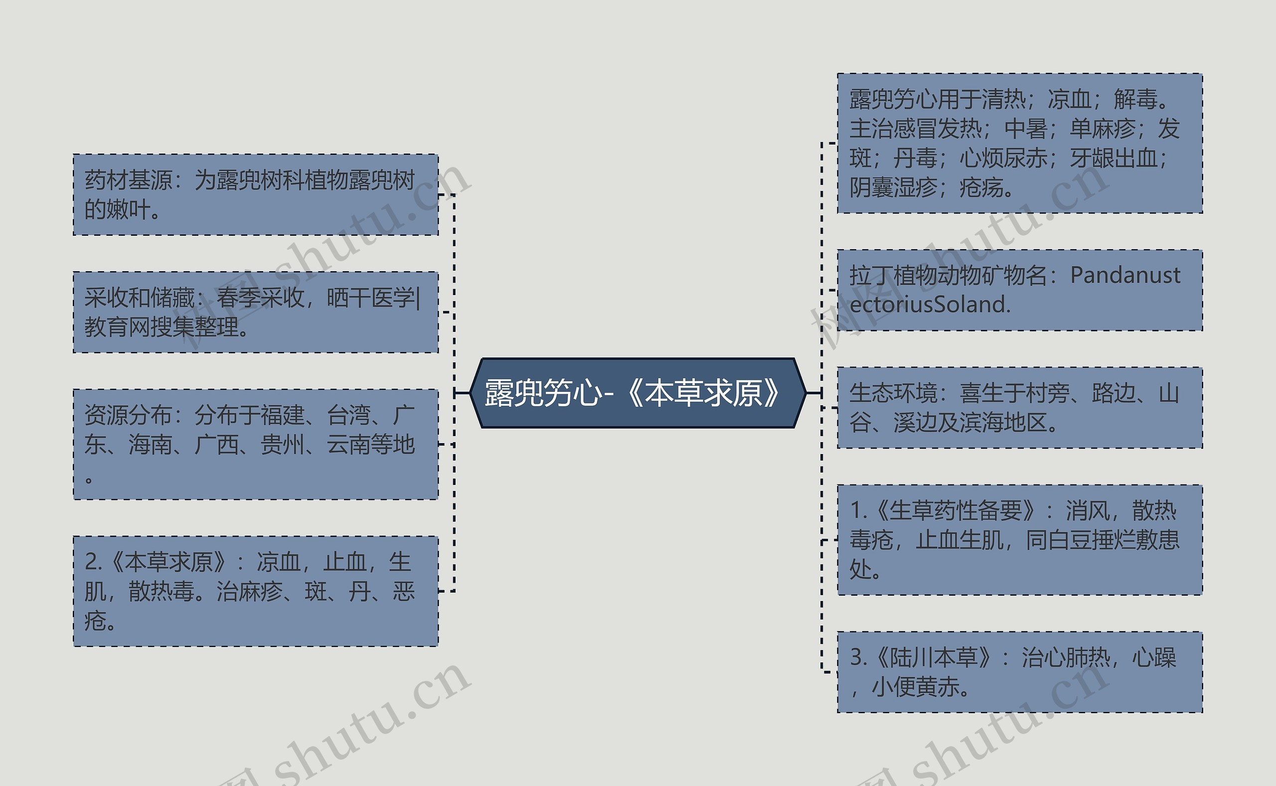 露兜竻心-《本草求原》