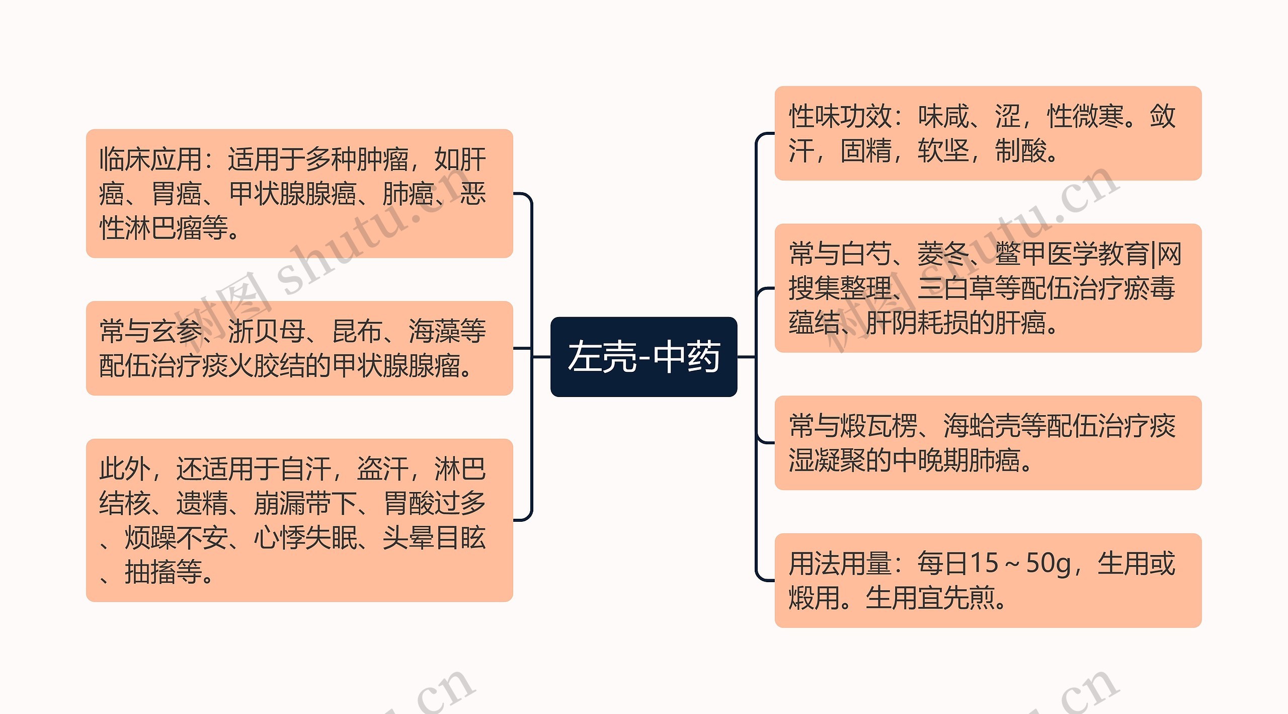 左壳-中药