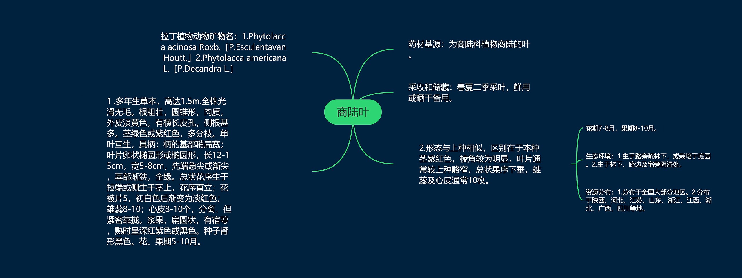 商陆叶思维导图