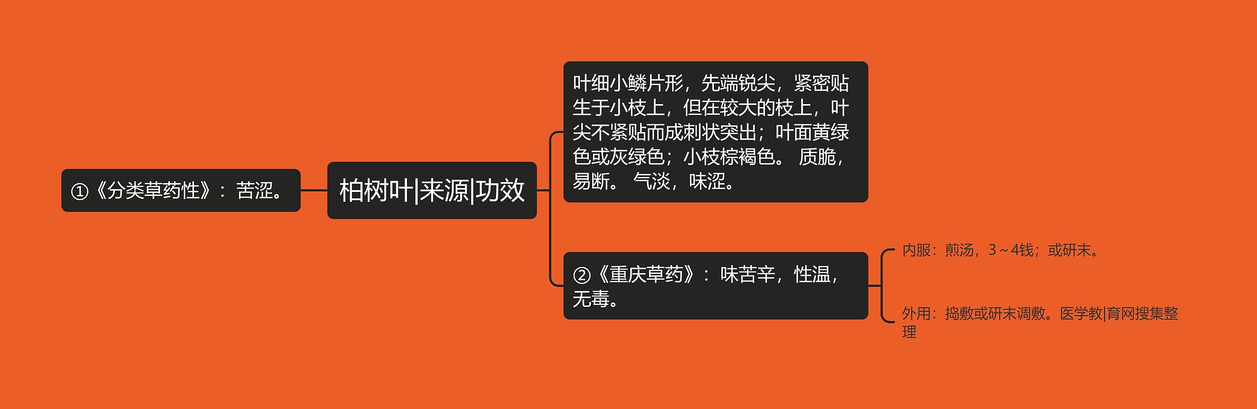 柏树叶|来源|功效思维导图