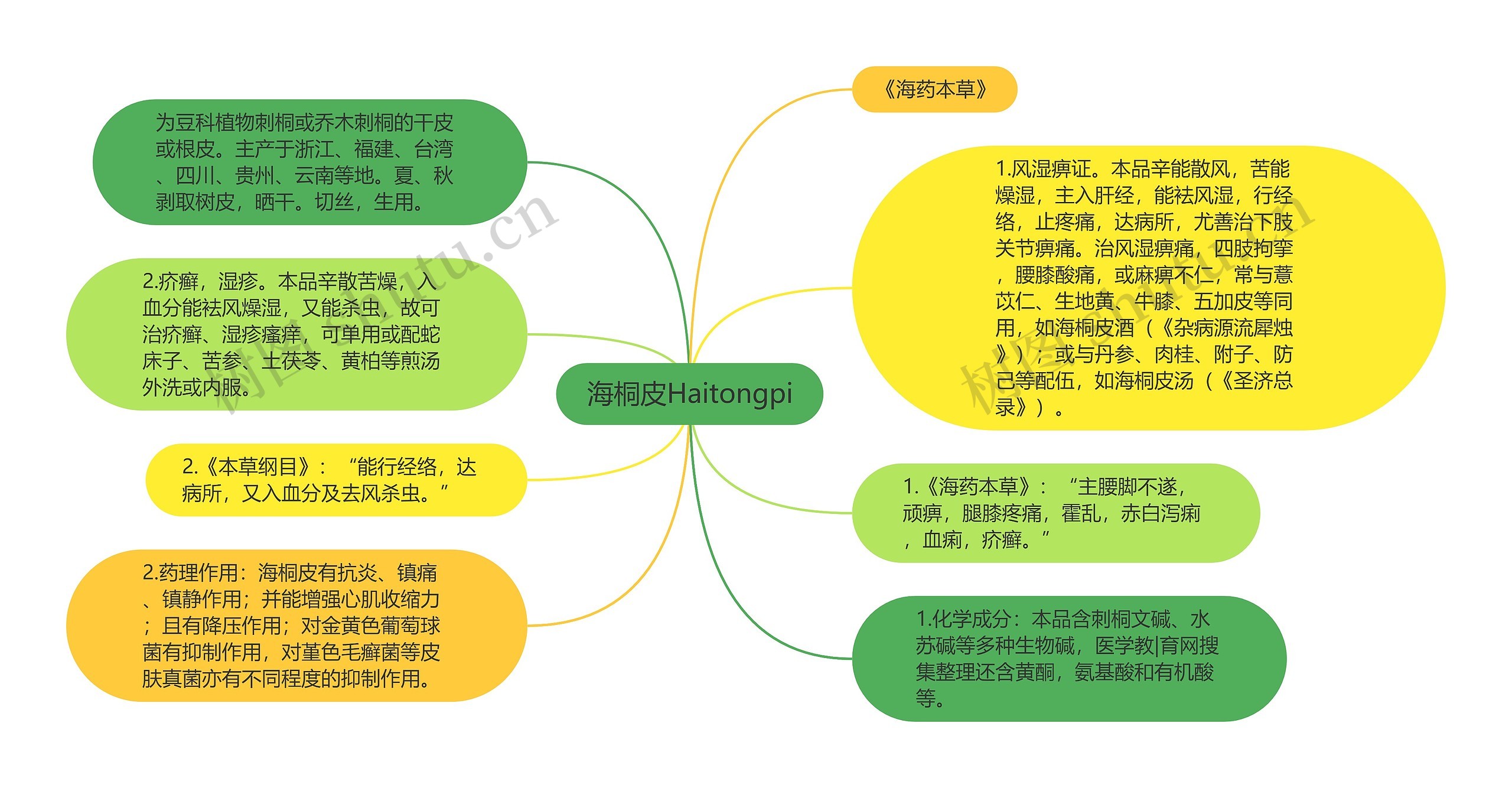 海桐皮Haitongpi思维导图