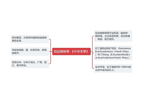 短齿楼梯草-《中华本草》