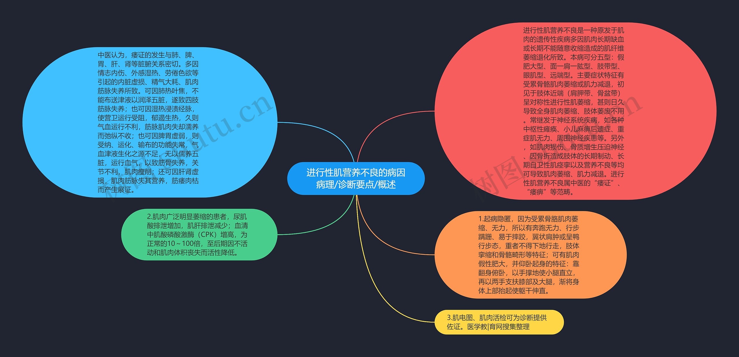 进行性肌营养不良的病因病理/诊断要点/概述思维导图