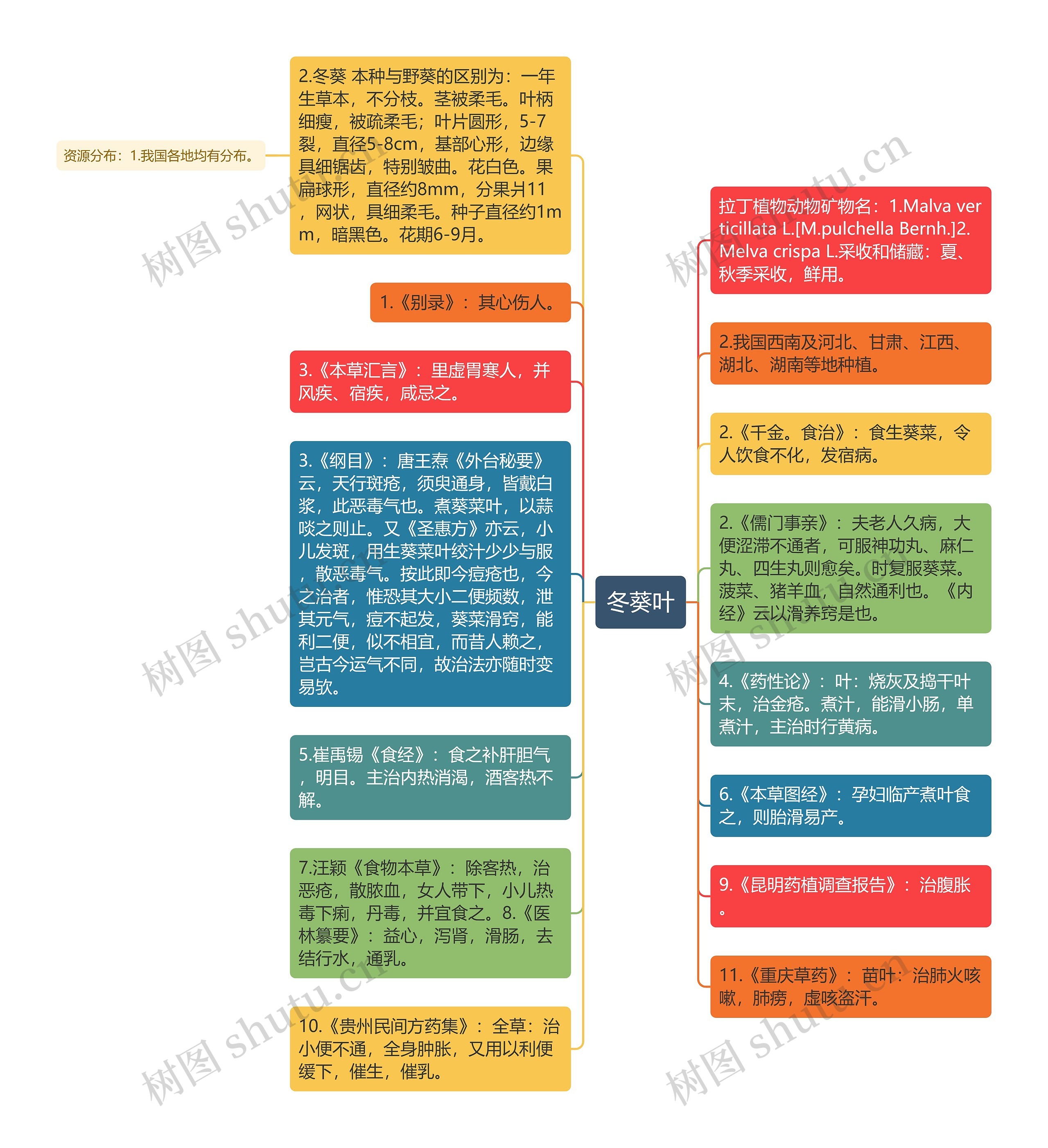 冬葵叶思维导图高清图 冬葵叶思维导图