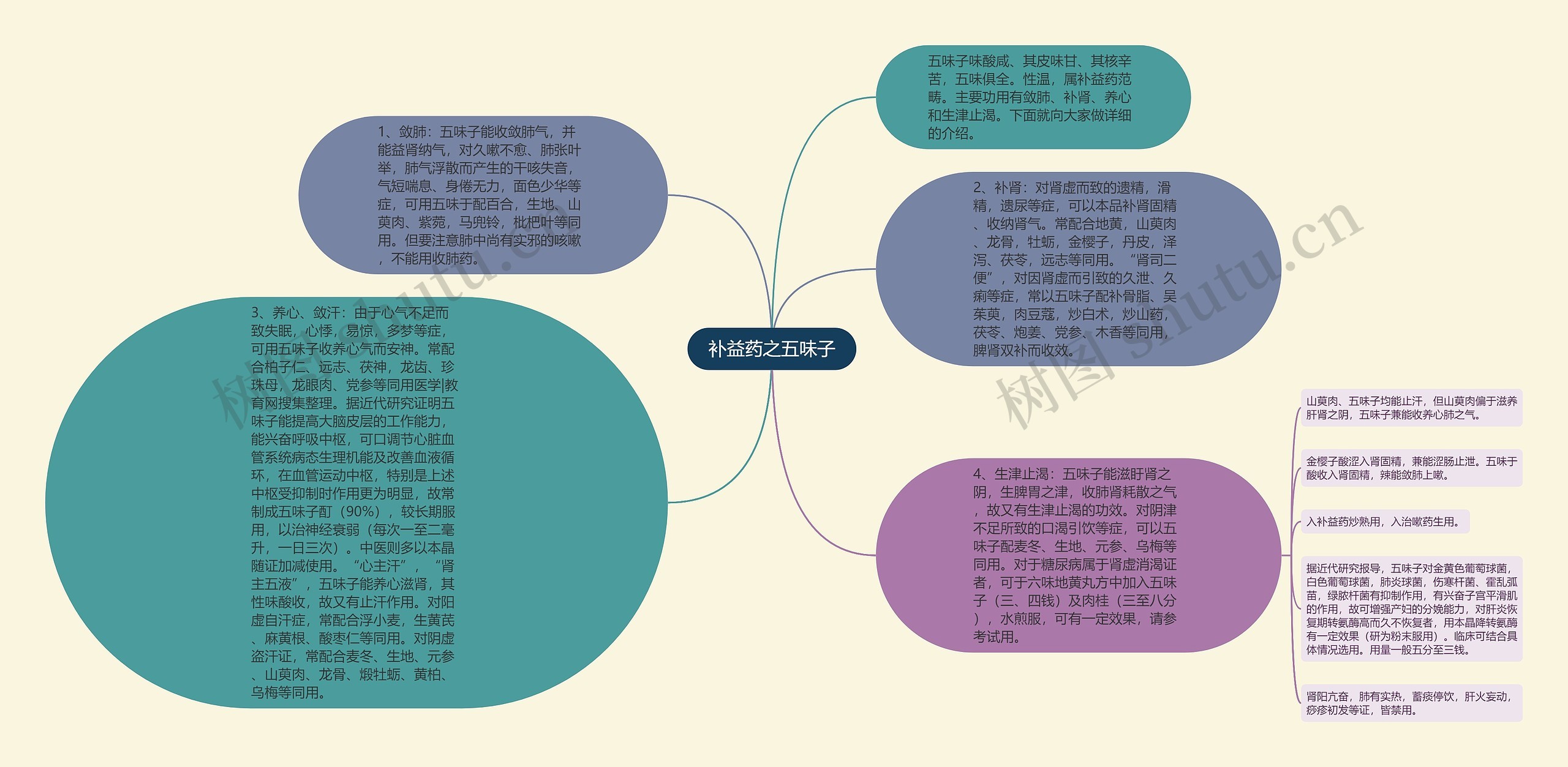 补益药之五味子思维导图