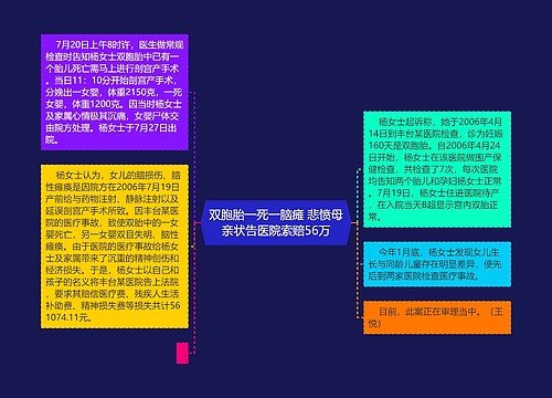 双胞胎一死一脑瘫 悲愤母亲状告医院索赔56万