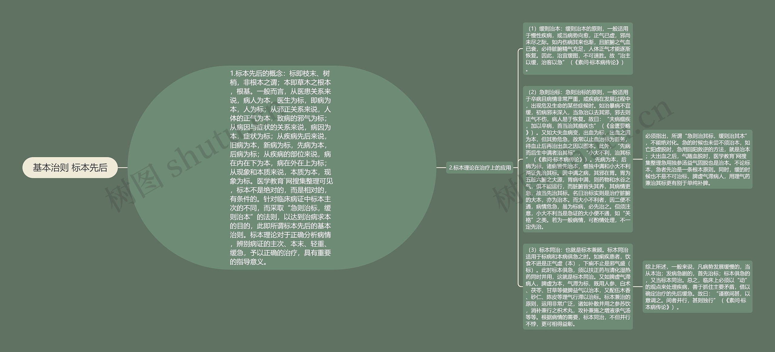 基本治则 标本先后思维导图