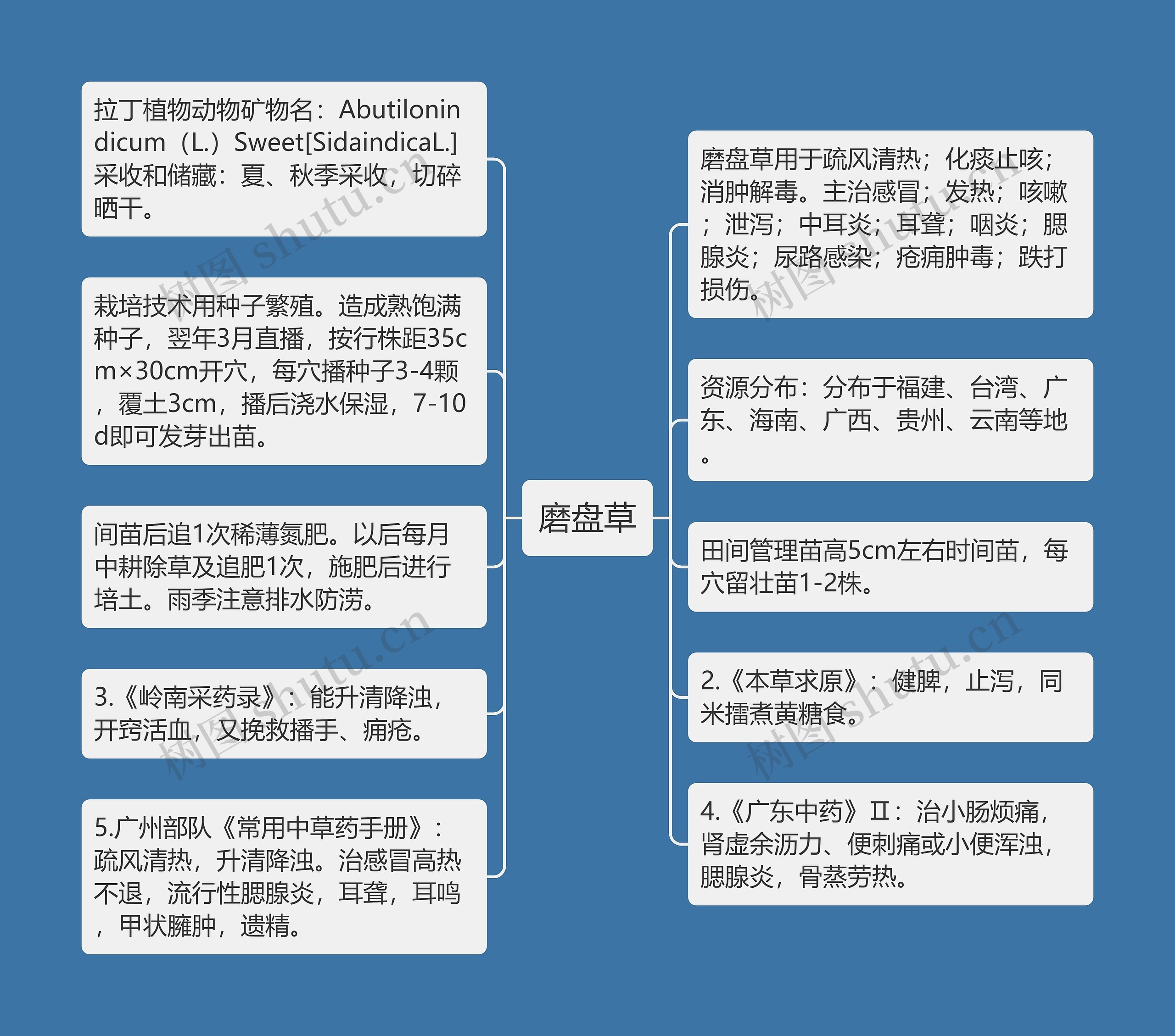 磨盘草思维导图