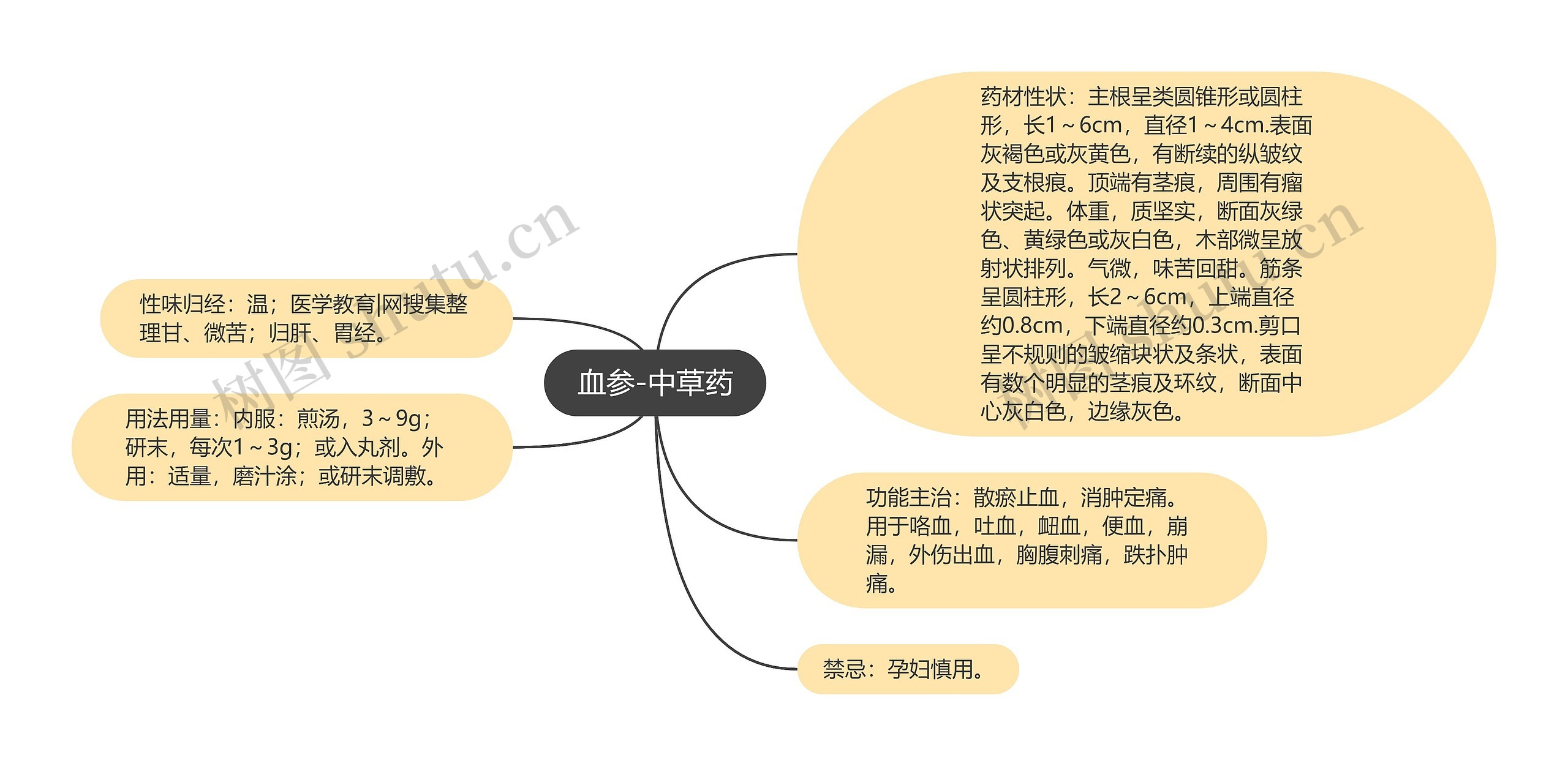 血参-中草药思维导图