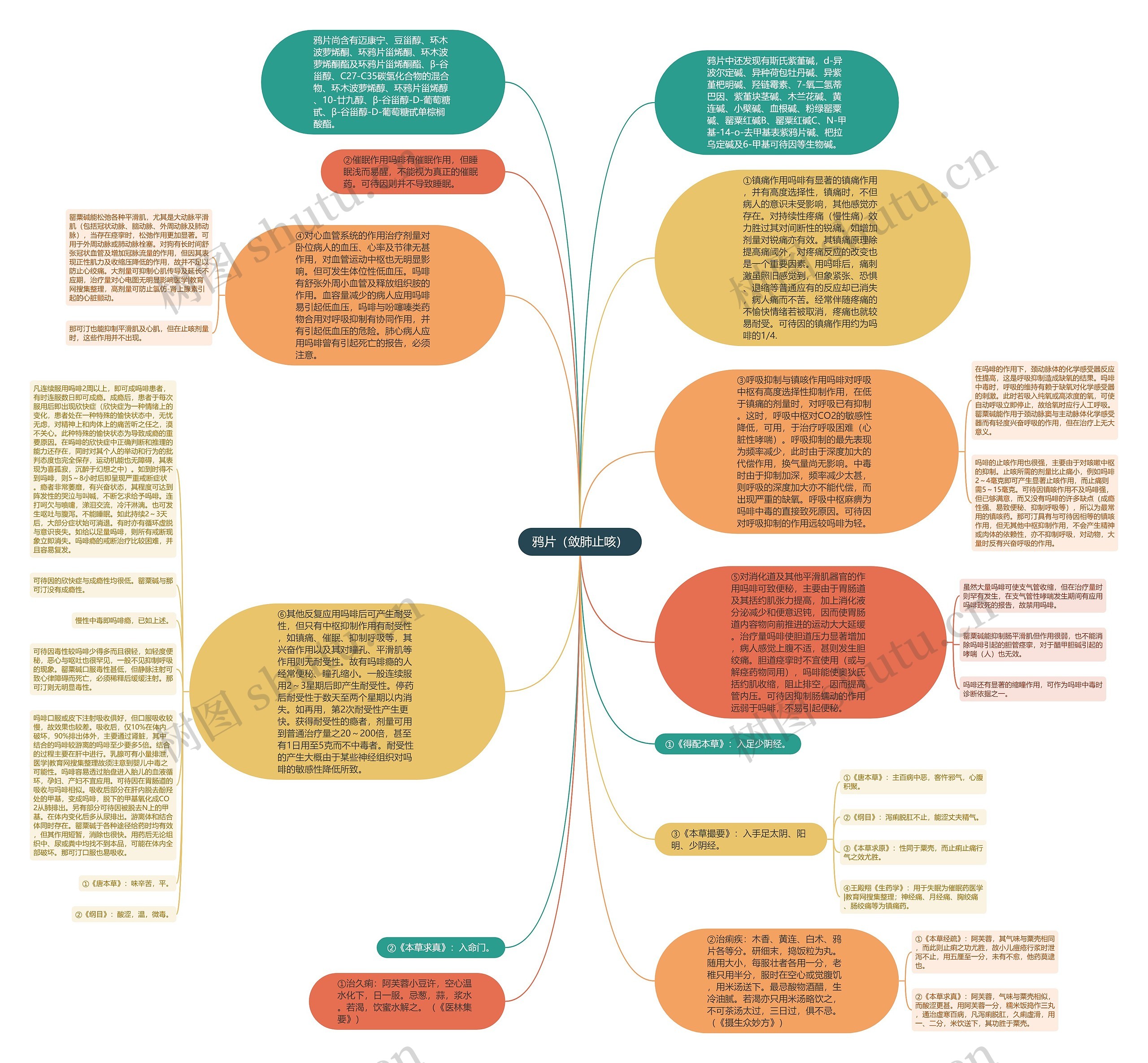 鸦片（敛肺止咳）思维导图