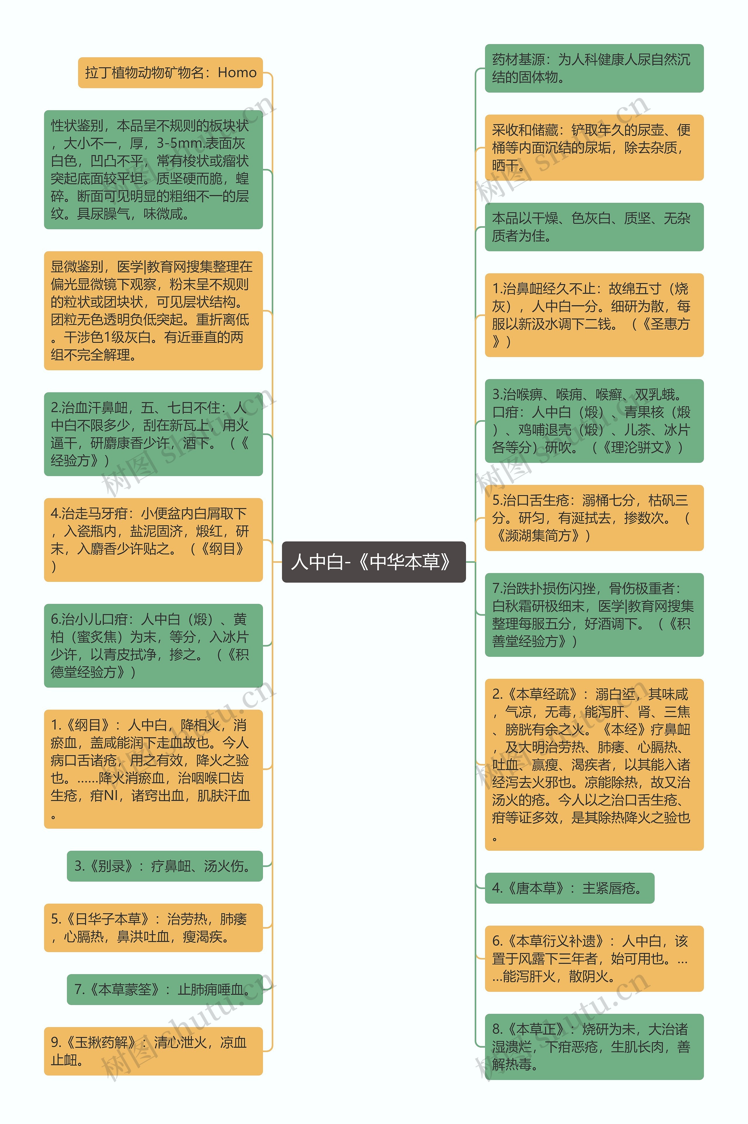 人中白-《中华本草》思维导图