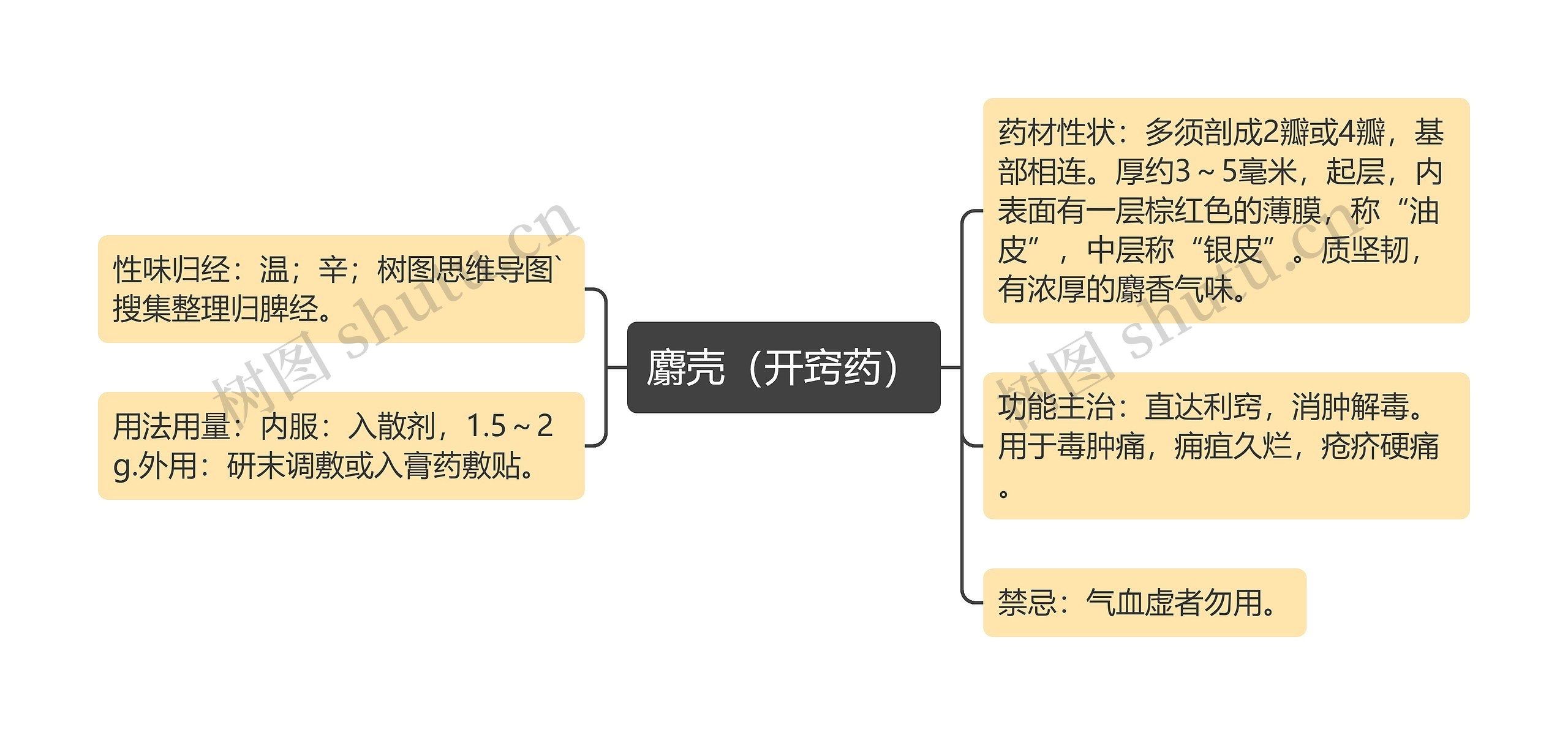 麝壳（开窍药）思维导图