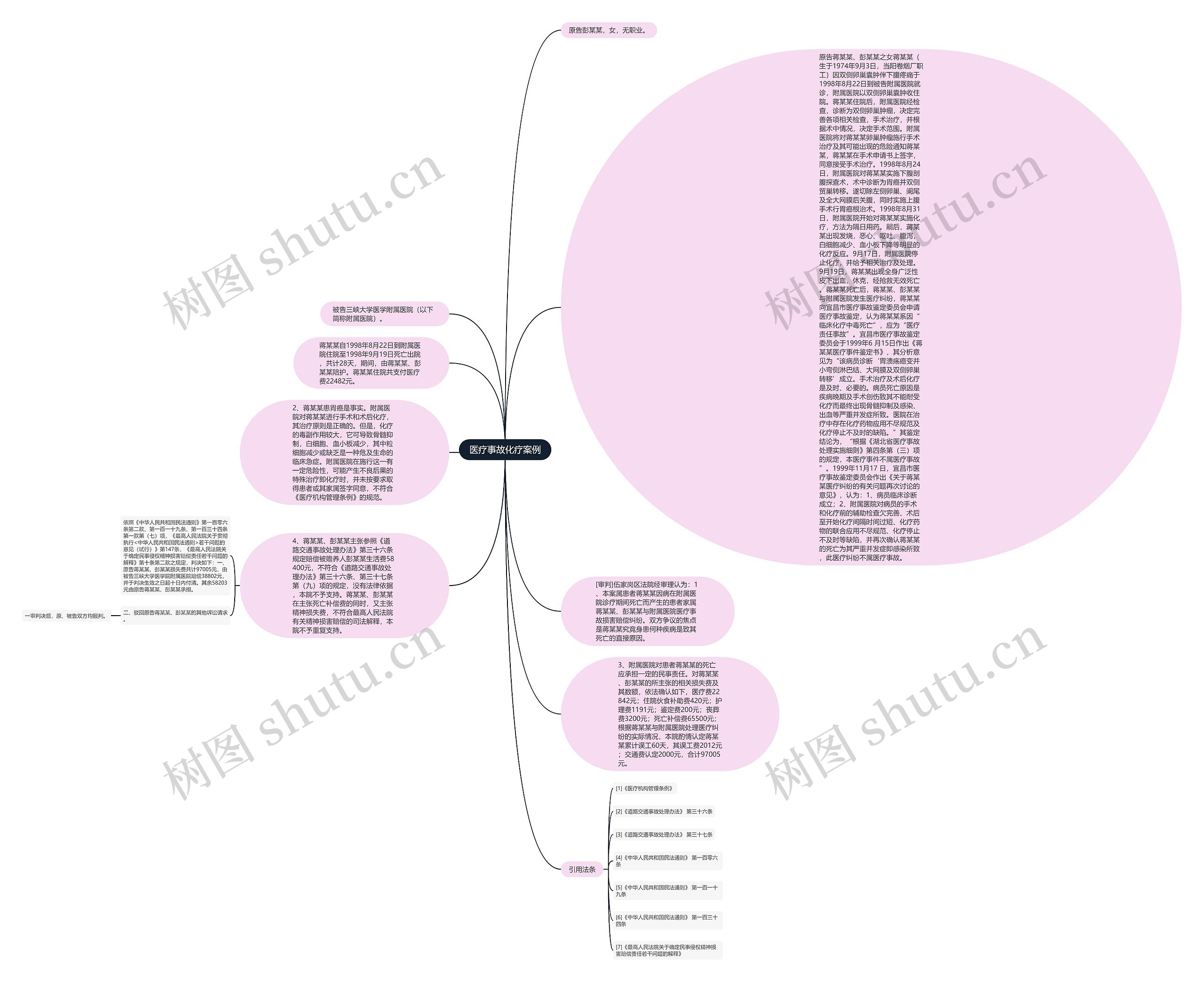 医疗事故化疗案例思维导图