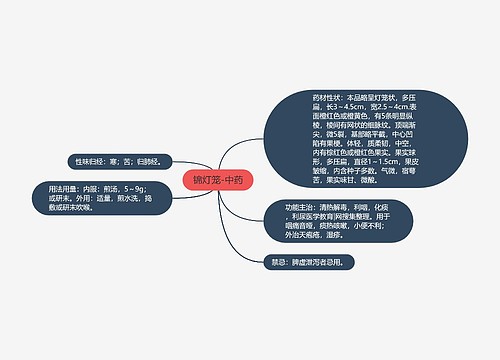 锦灯笼-中药