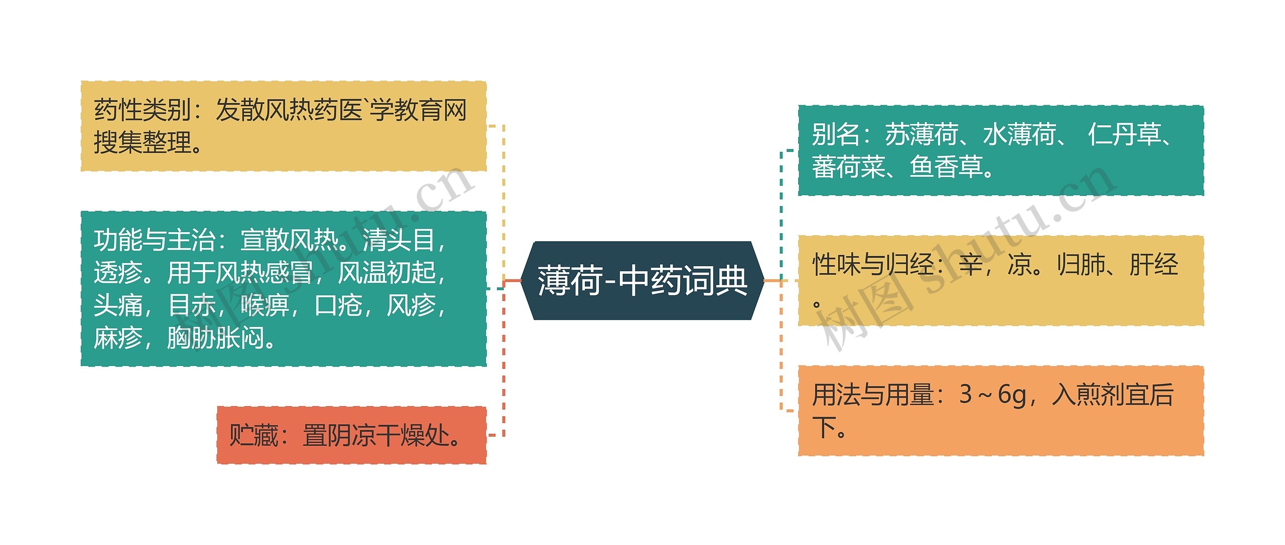 薄荷-中药词典思维导图