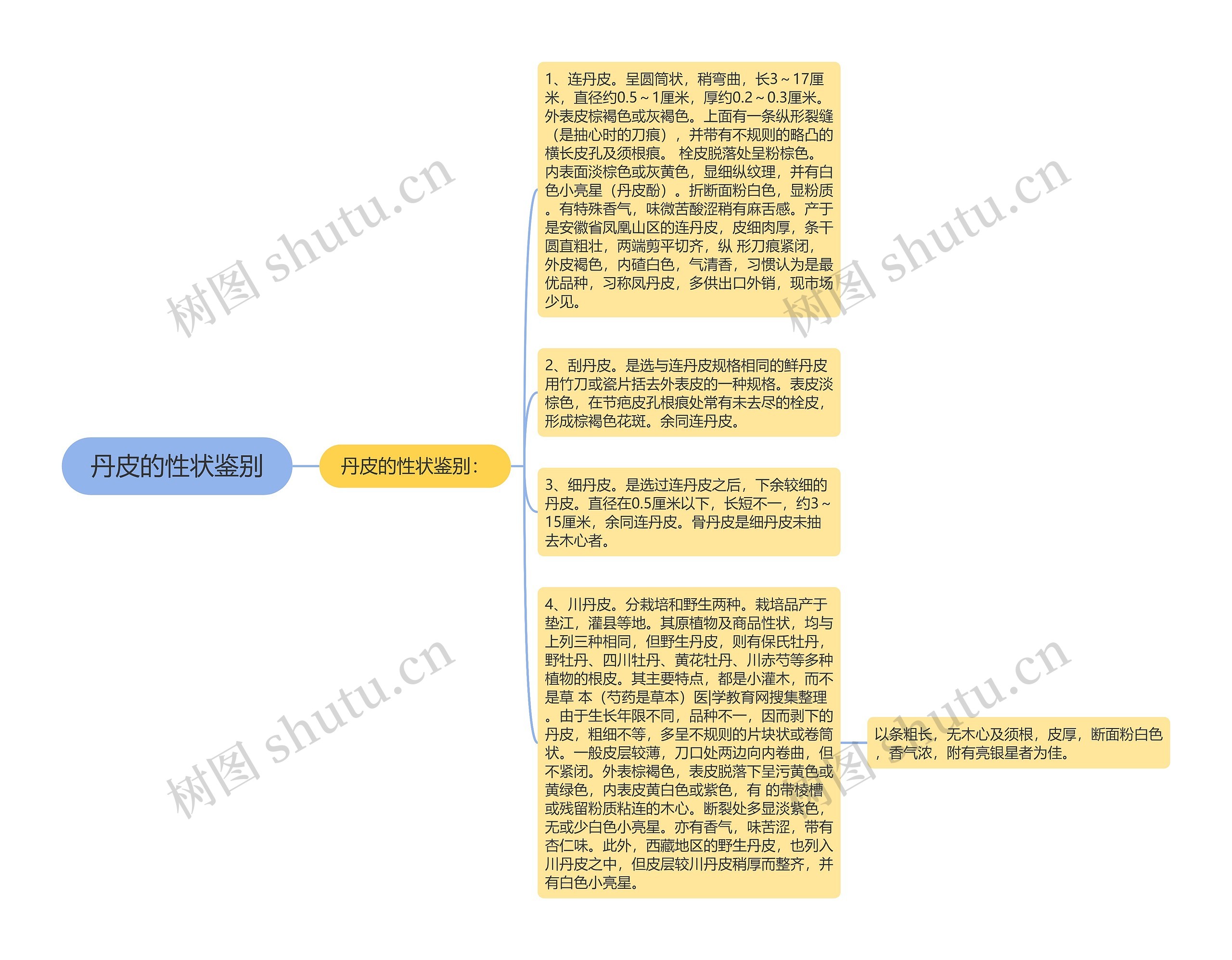 丹皮的性状鉴别思维导图