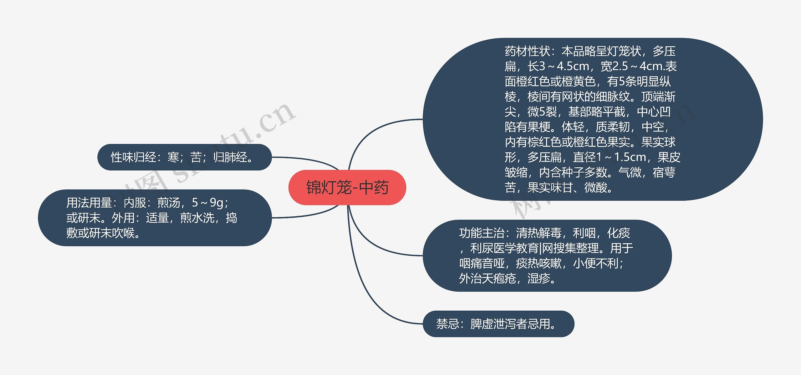 锦灯笼-中药