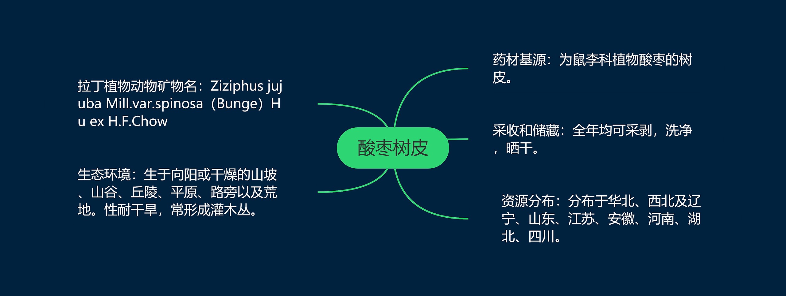 酸枣树皮