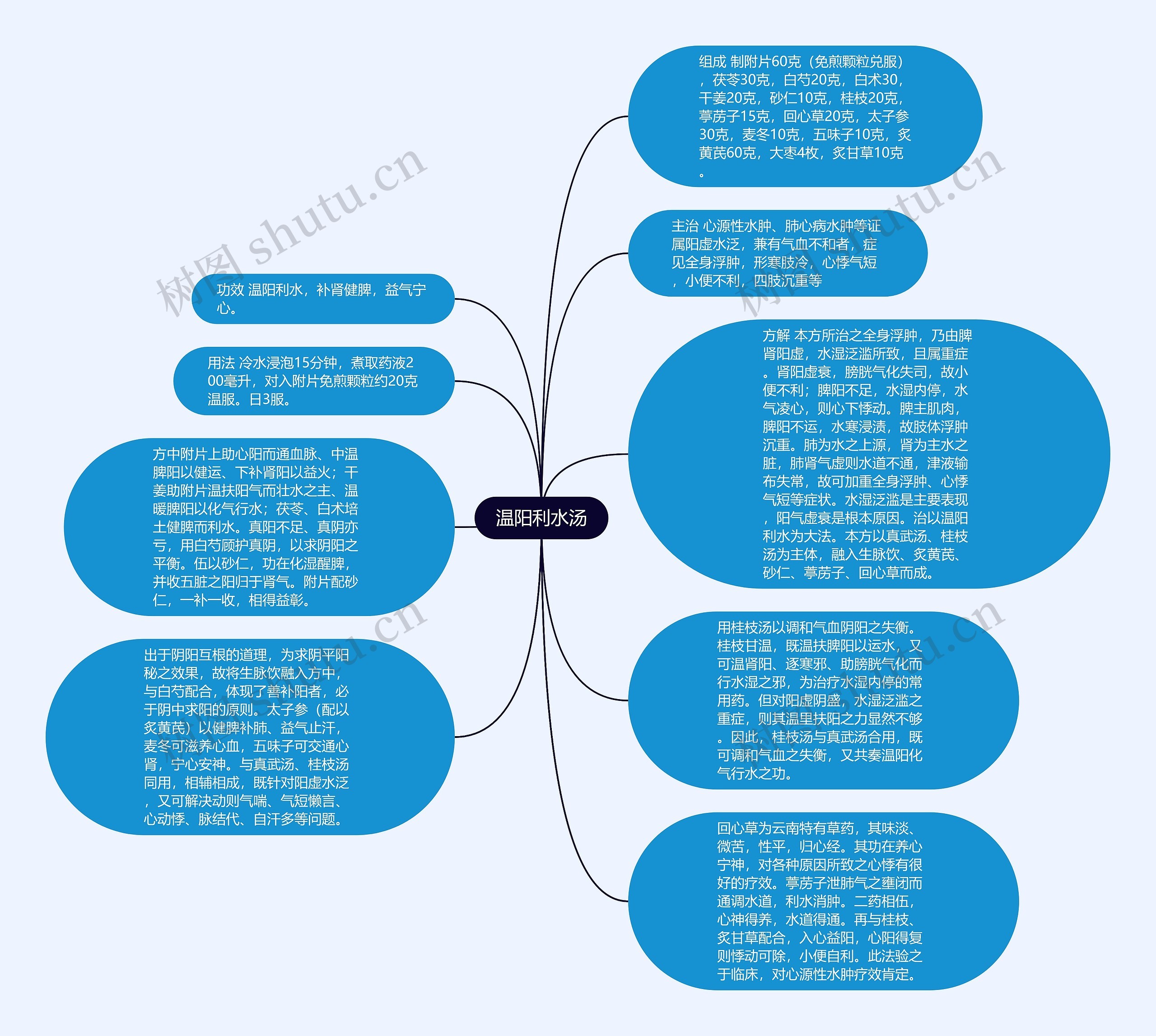 温阳利水汤思维导图