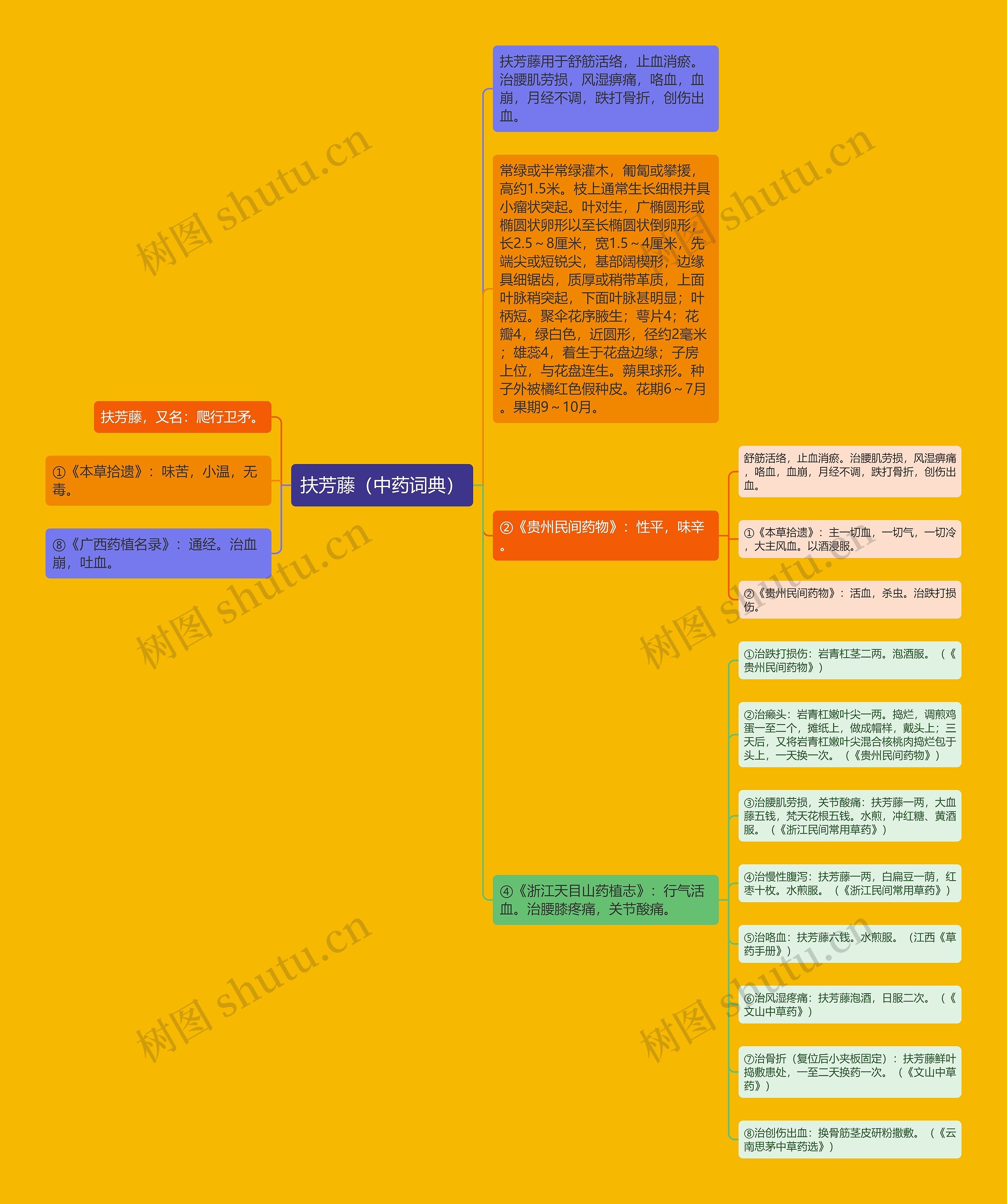 扶芳藤（中药词典）思维导图