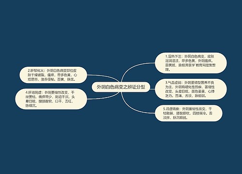 外阴白色病变之辨证分型