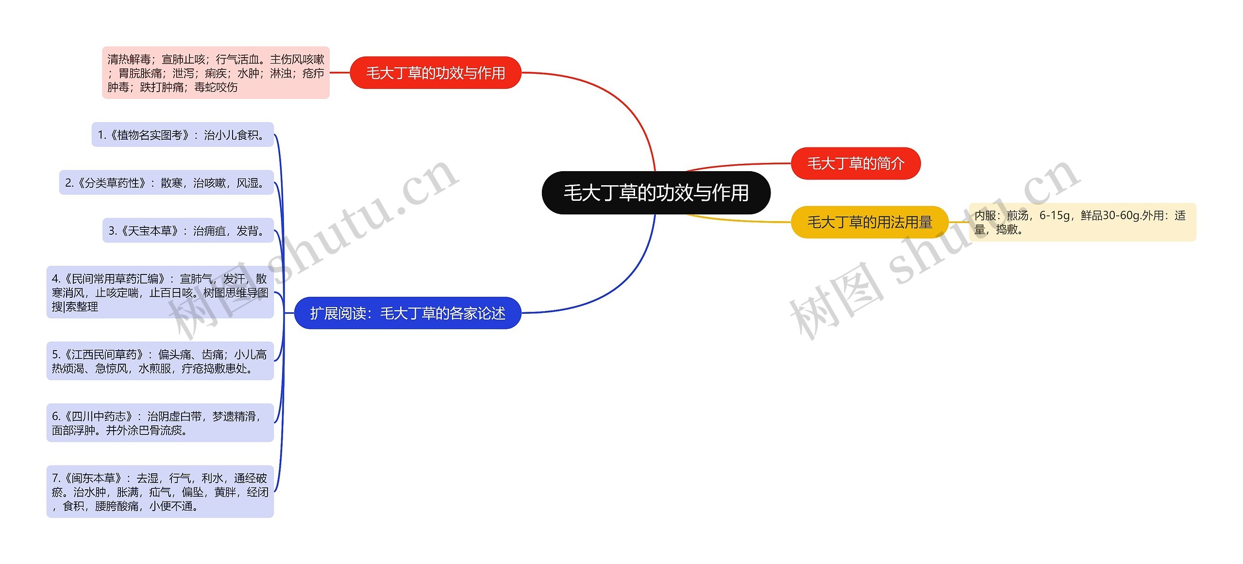 毛大丁草的功效与作用