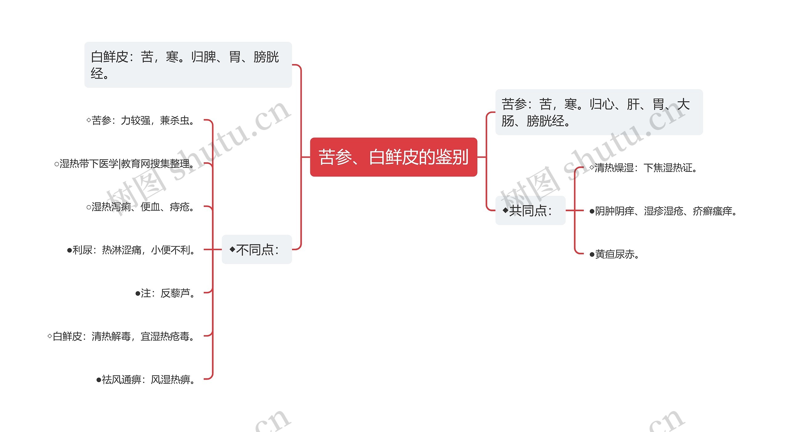 苦参、白鲜皮的鉴别