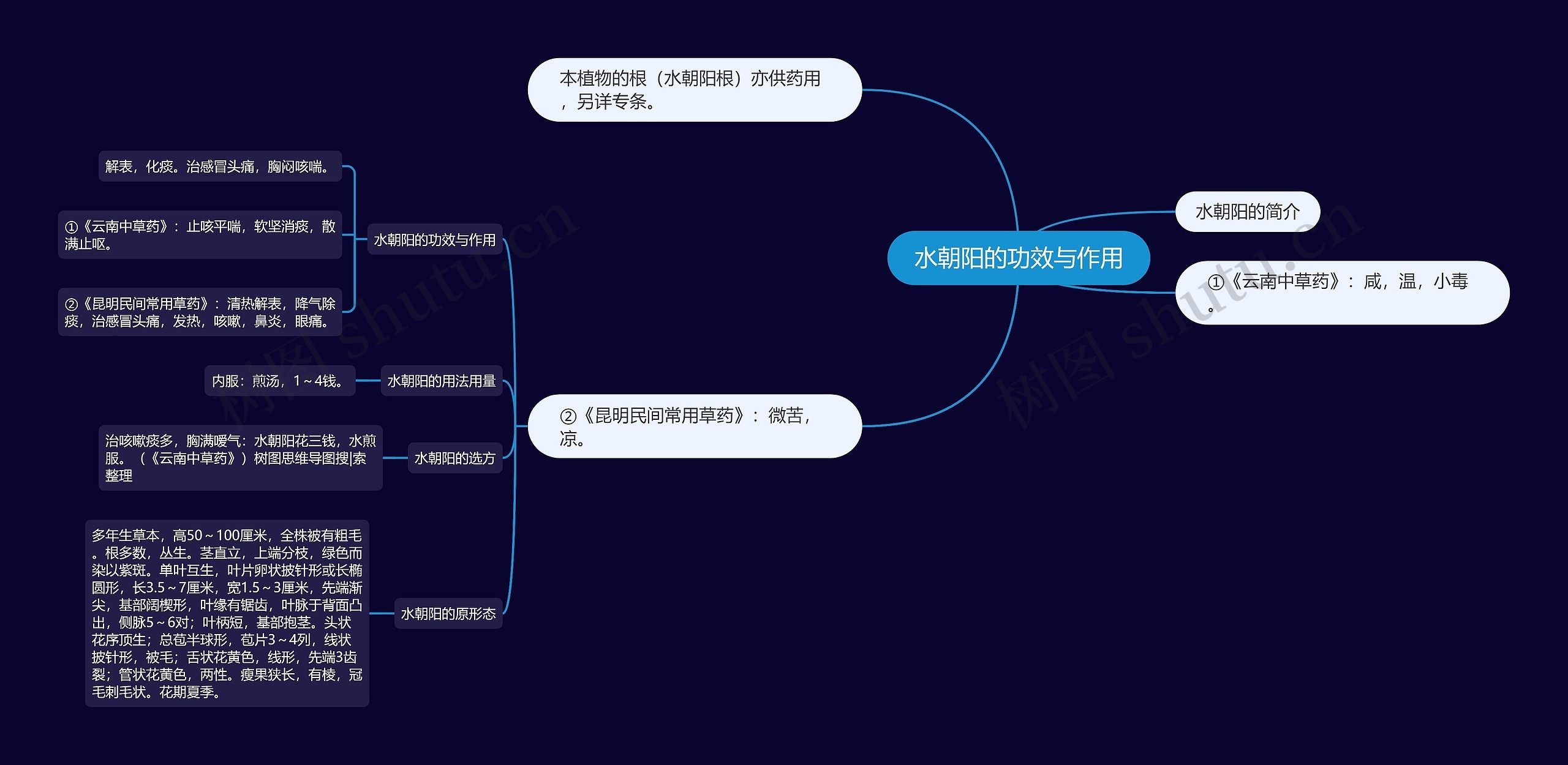 水朝阳的功效与作用 水朝阳的功效与作用