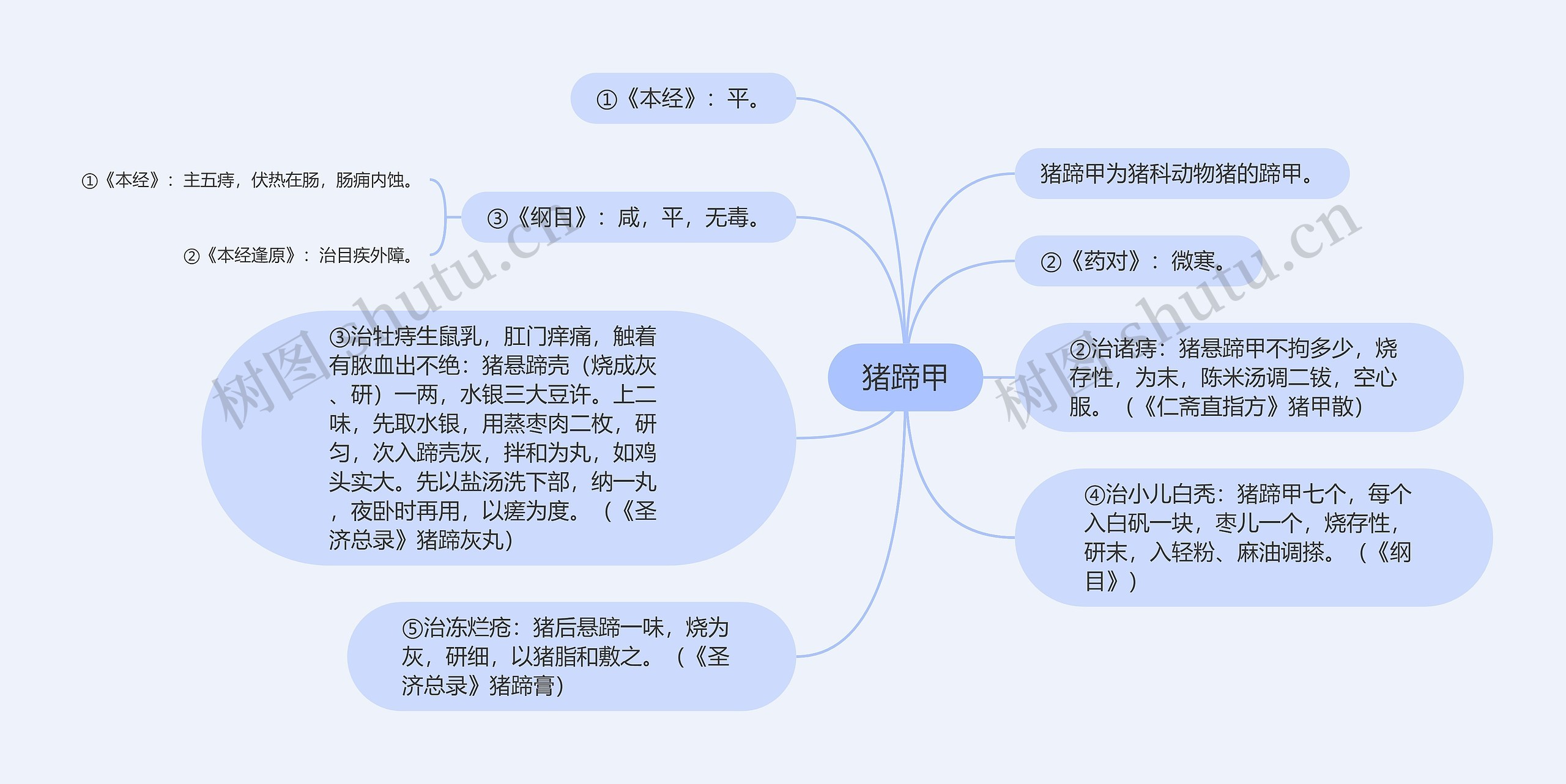 猪蹄甲思维导图