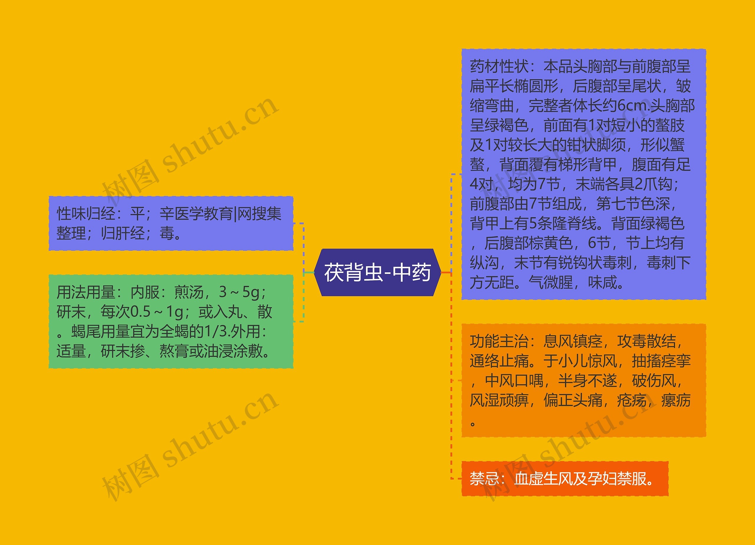 茯背虫-中药 茯背虫-中药