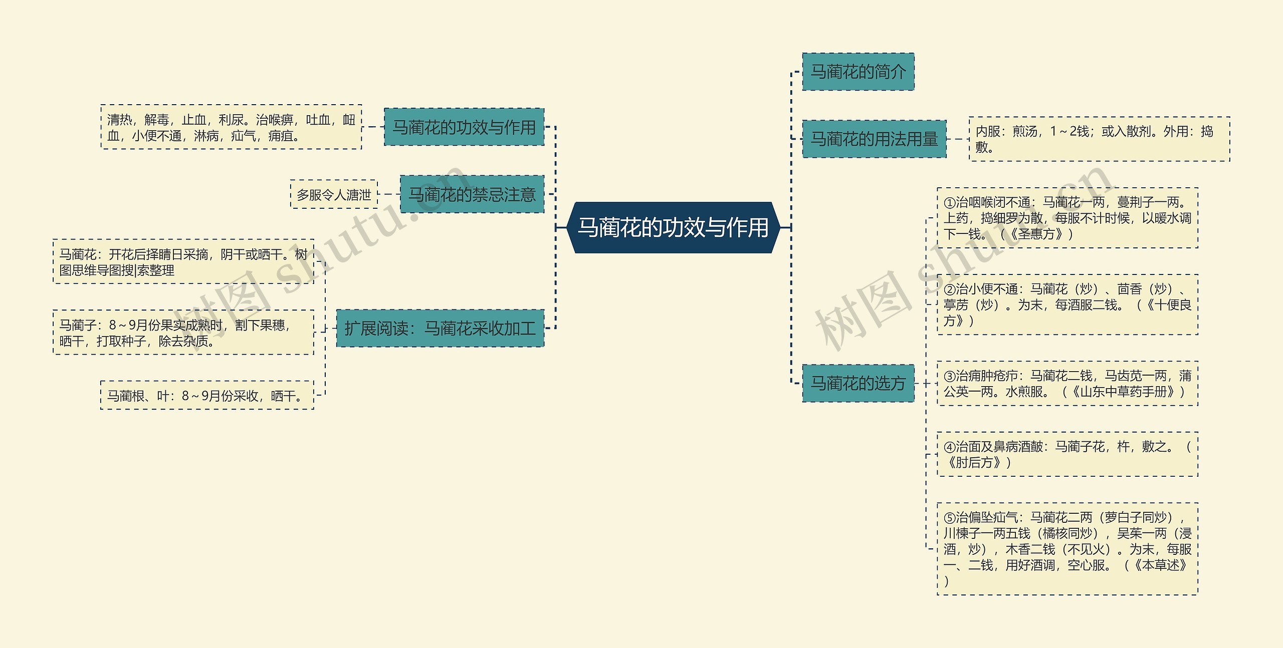 马蔺花的功效与作用思维导图
