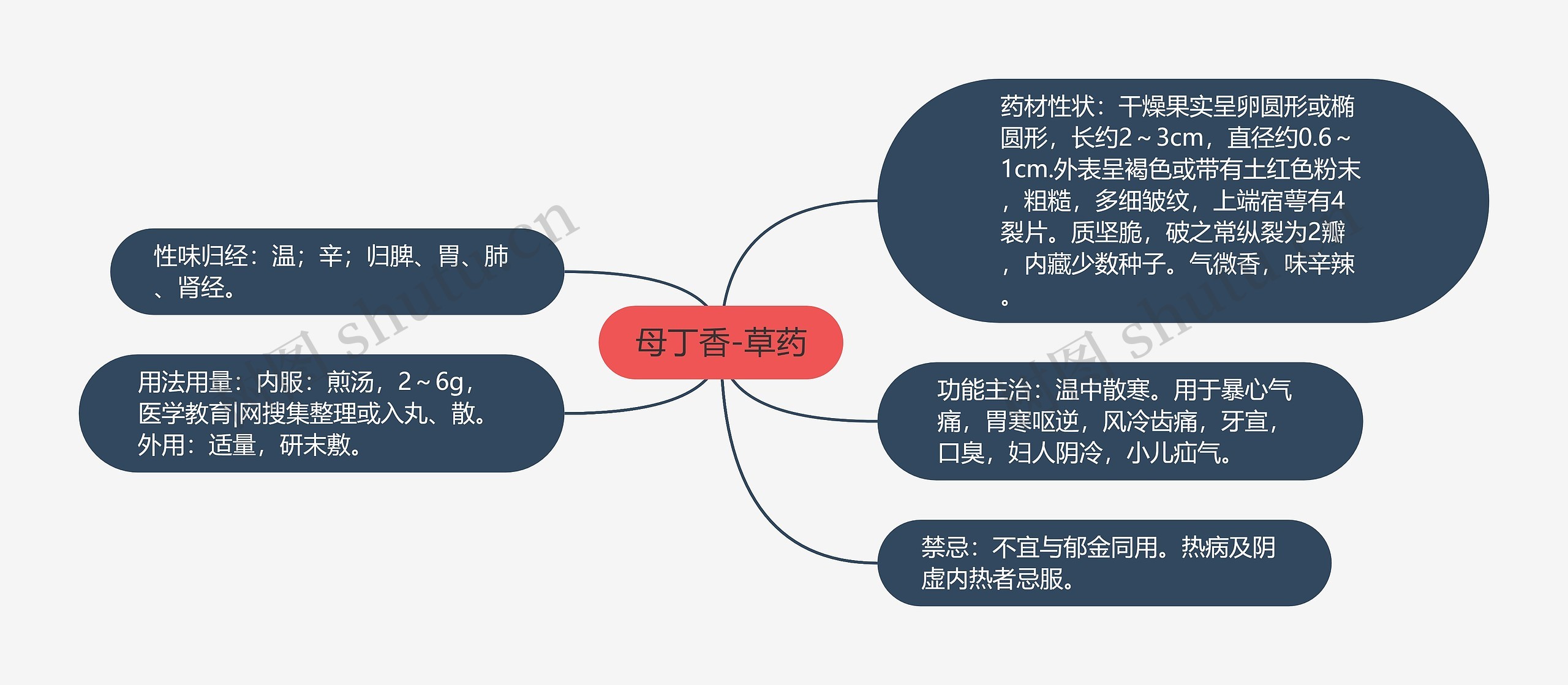 母丁香-草药思维导图