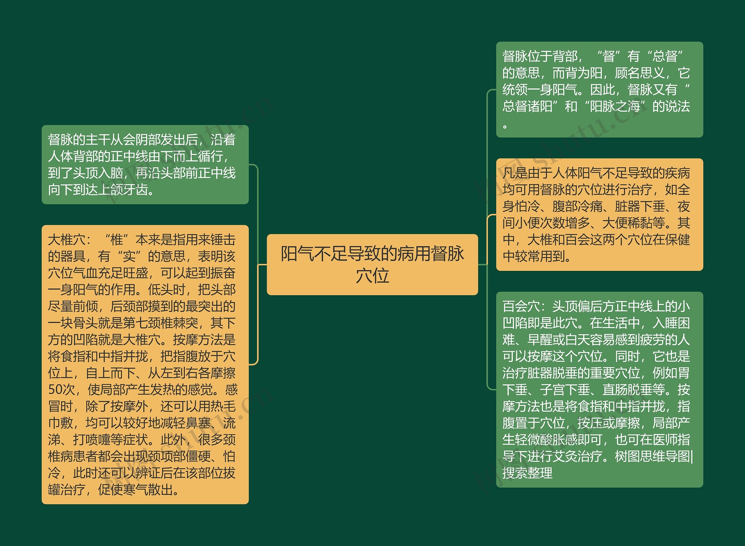 阳气不足导致的病用督脉穴位思维导图